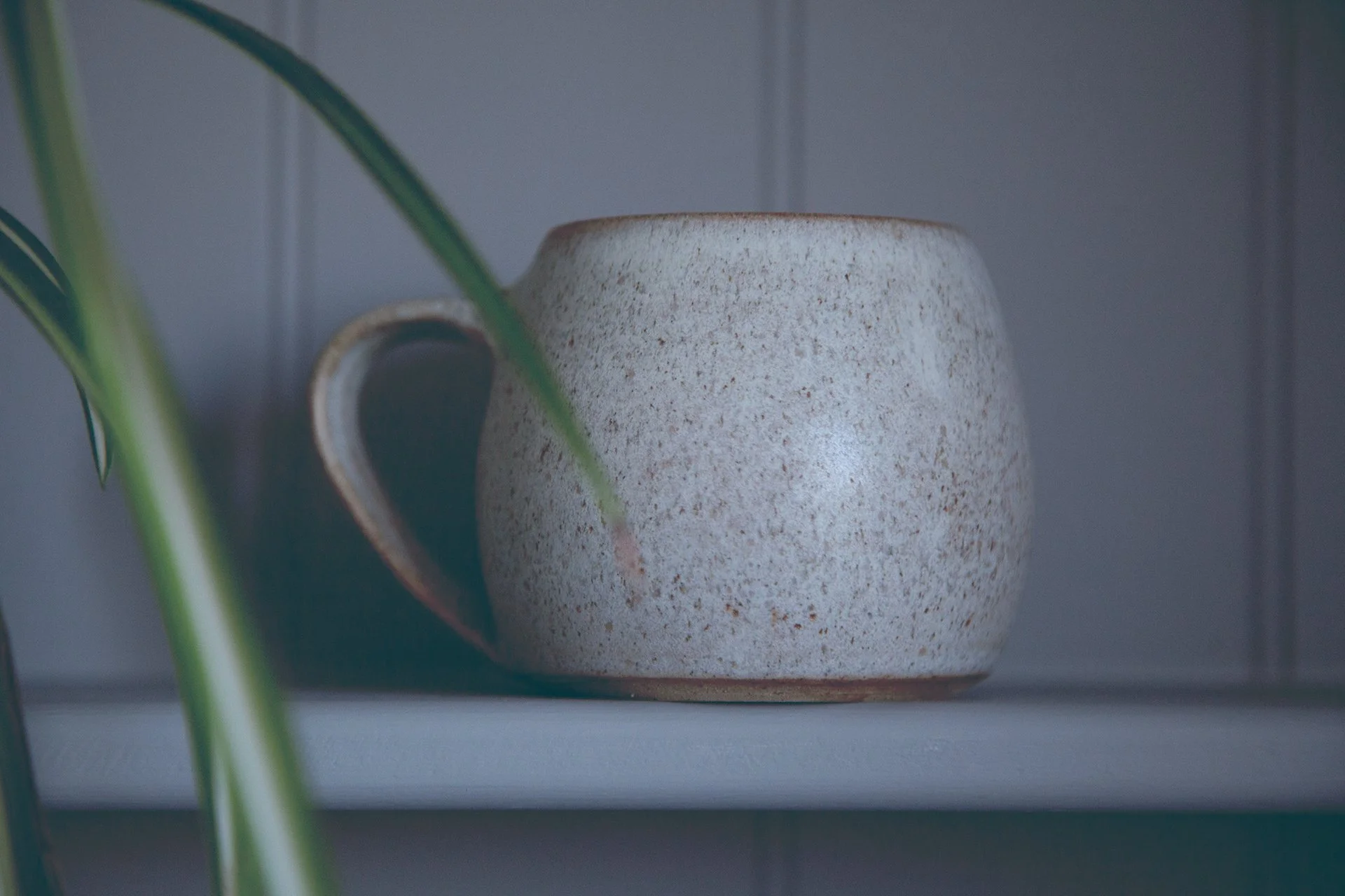 _MG_2876-Edit copy.jpg