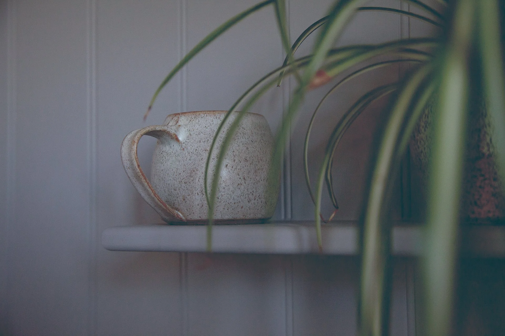 _MG_2895-Edit copy.jpg