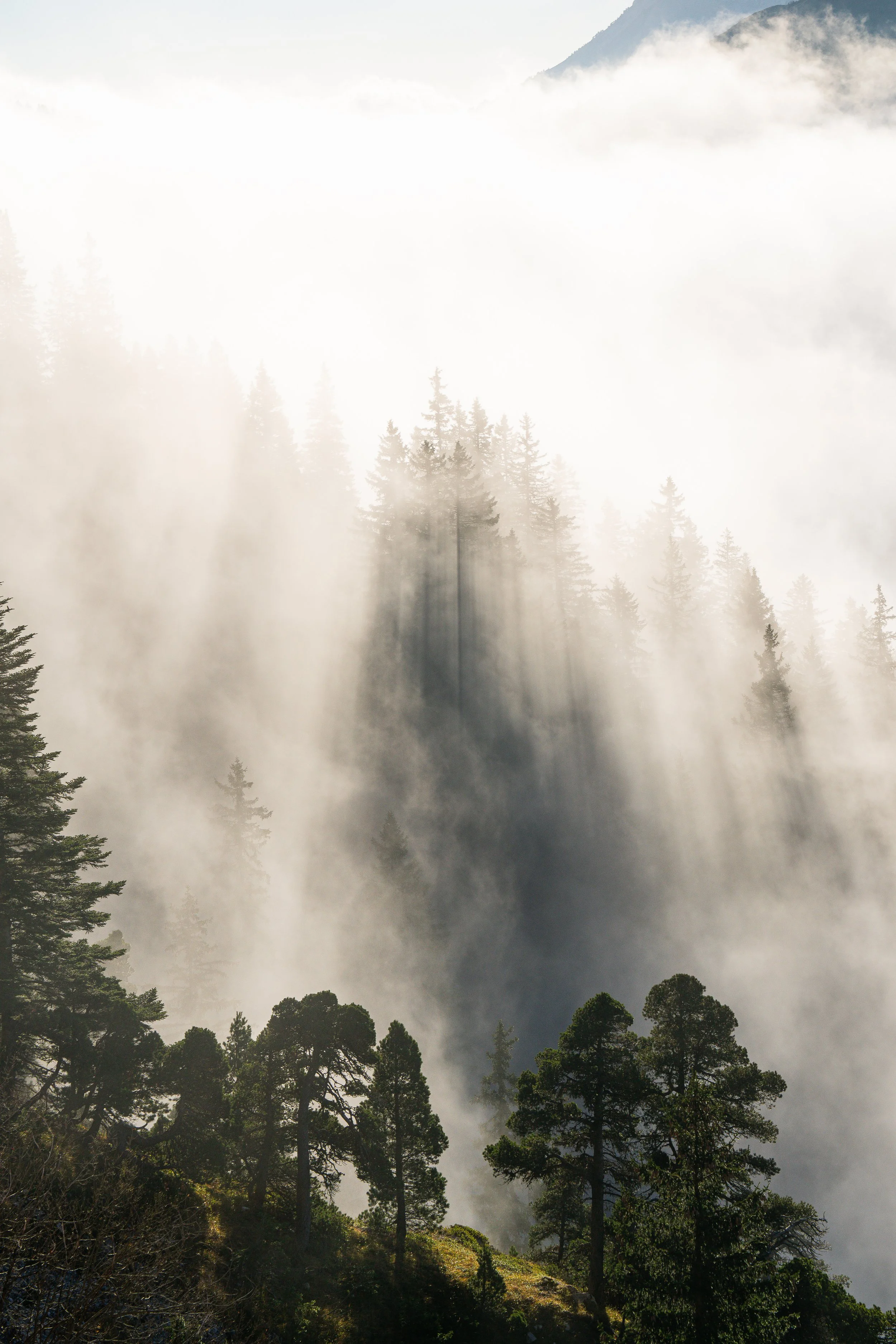 DSC09127.jpeg