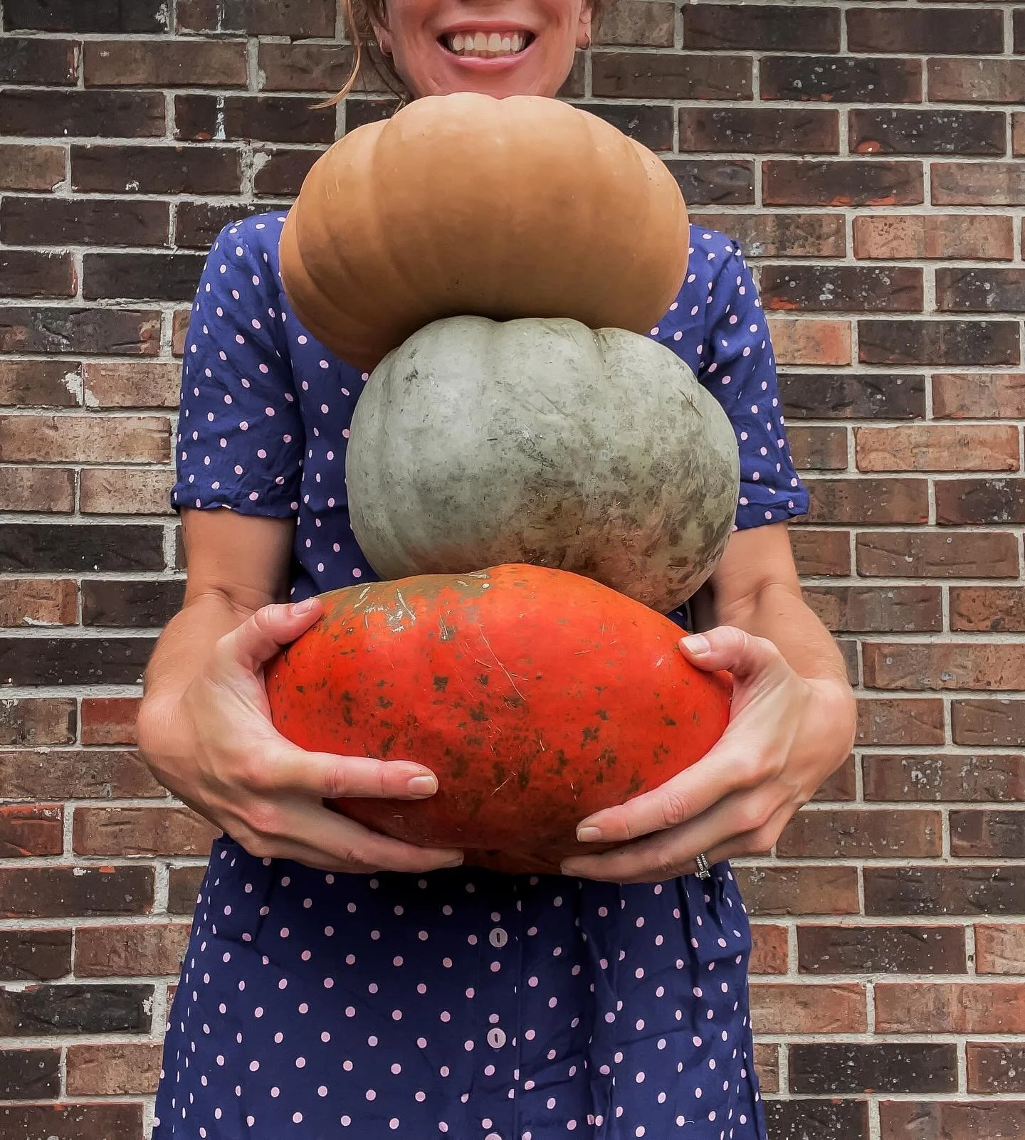 In place of a Pumpkin King, you would have a Queen! 

Bumbling and trying not to drop things. 

Anyone else ready for false fall?