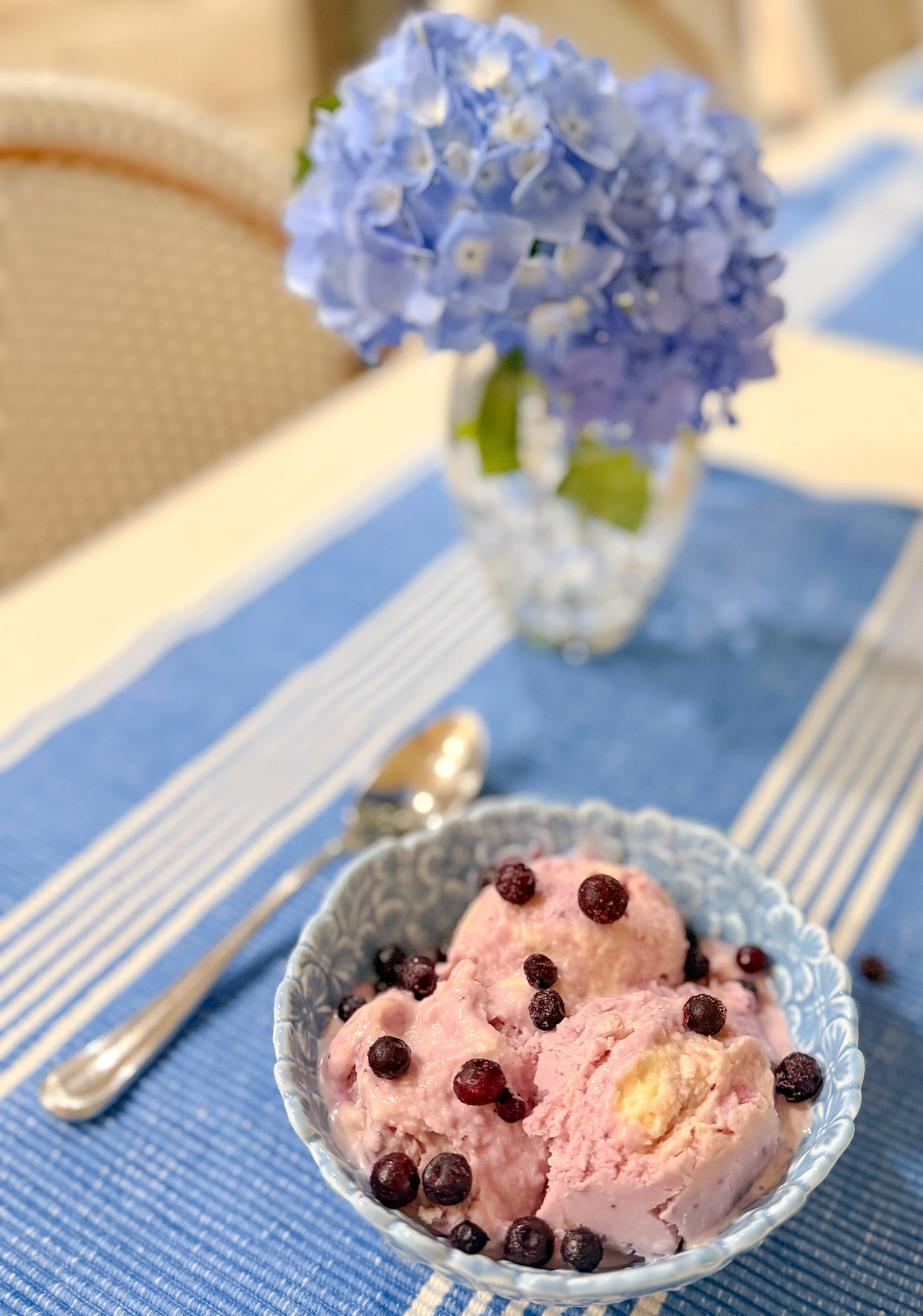 No Churn, Dairy Free                     Blueberry Ice Cream