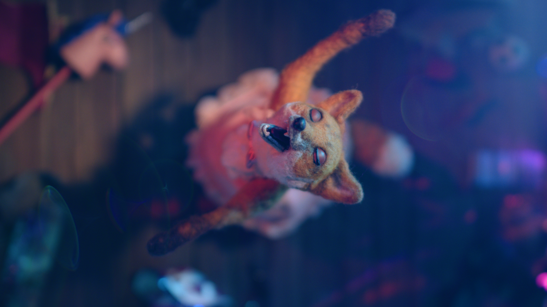 DRAGFOX | SHORT FILM | COMPLETED