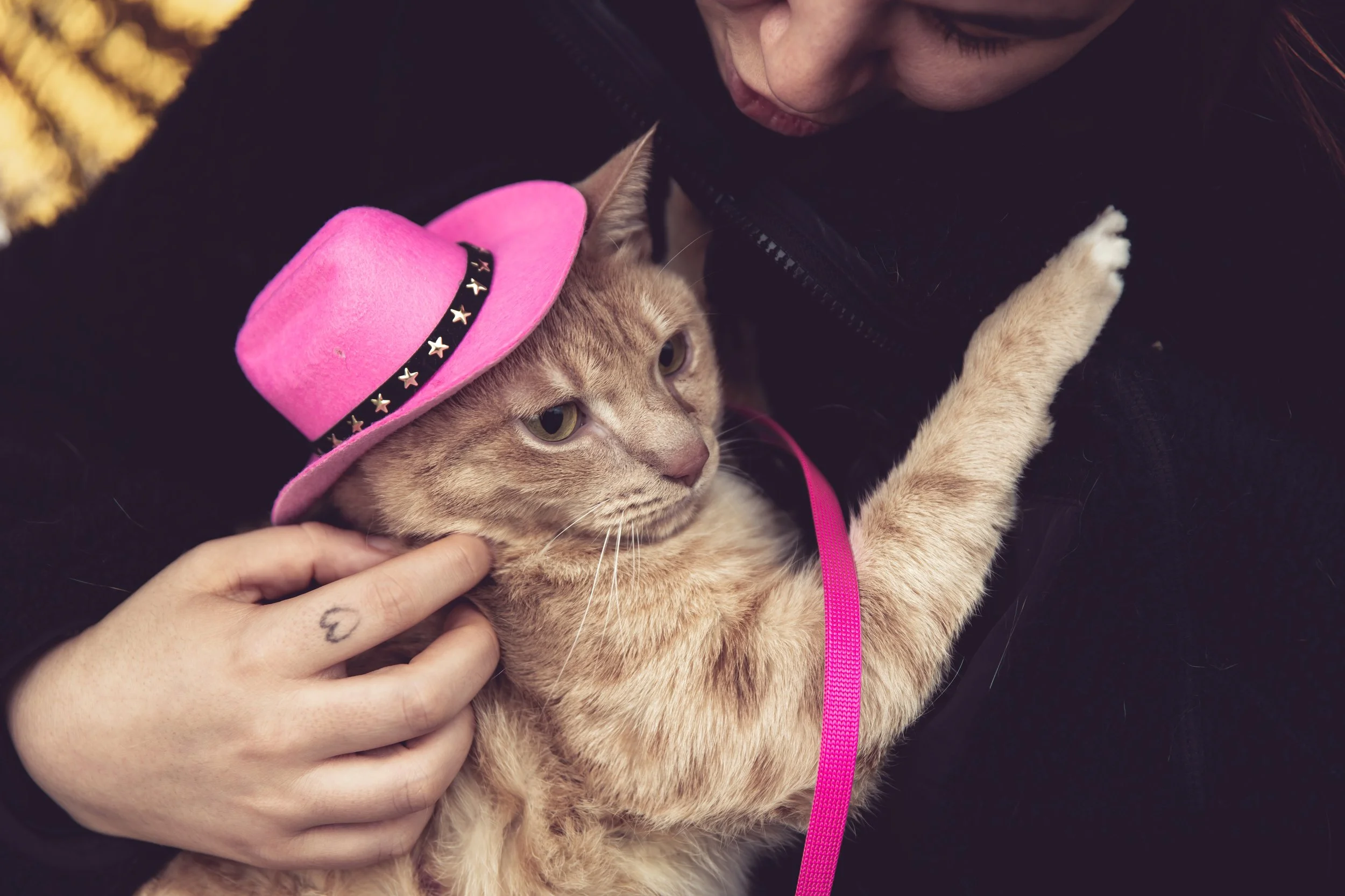 Bellboy_International Dog Day Photobooth_10-3.jpg