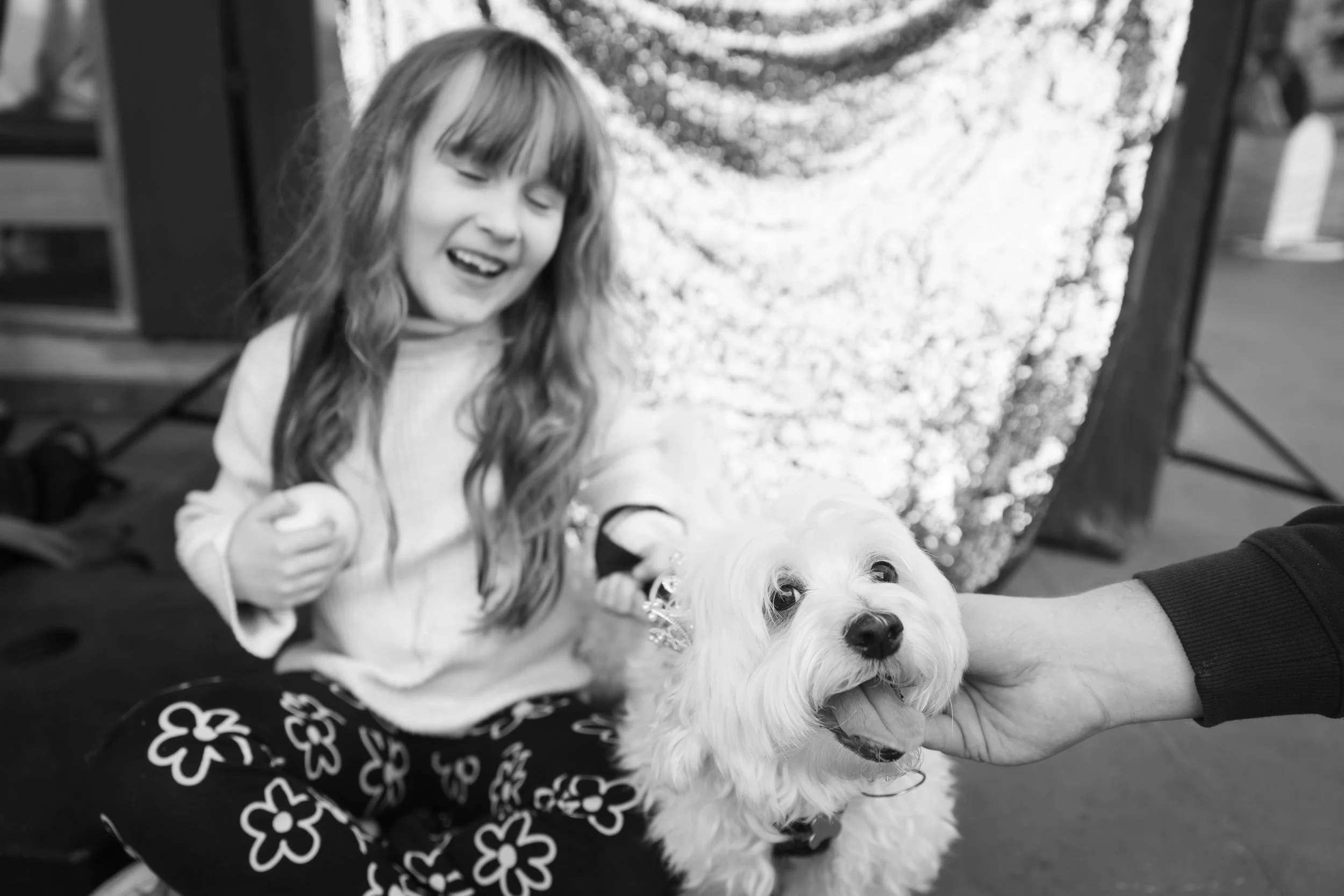 Bellboy_International Dog Day Photobooth_10-21.jpg