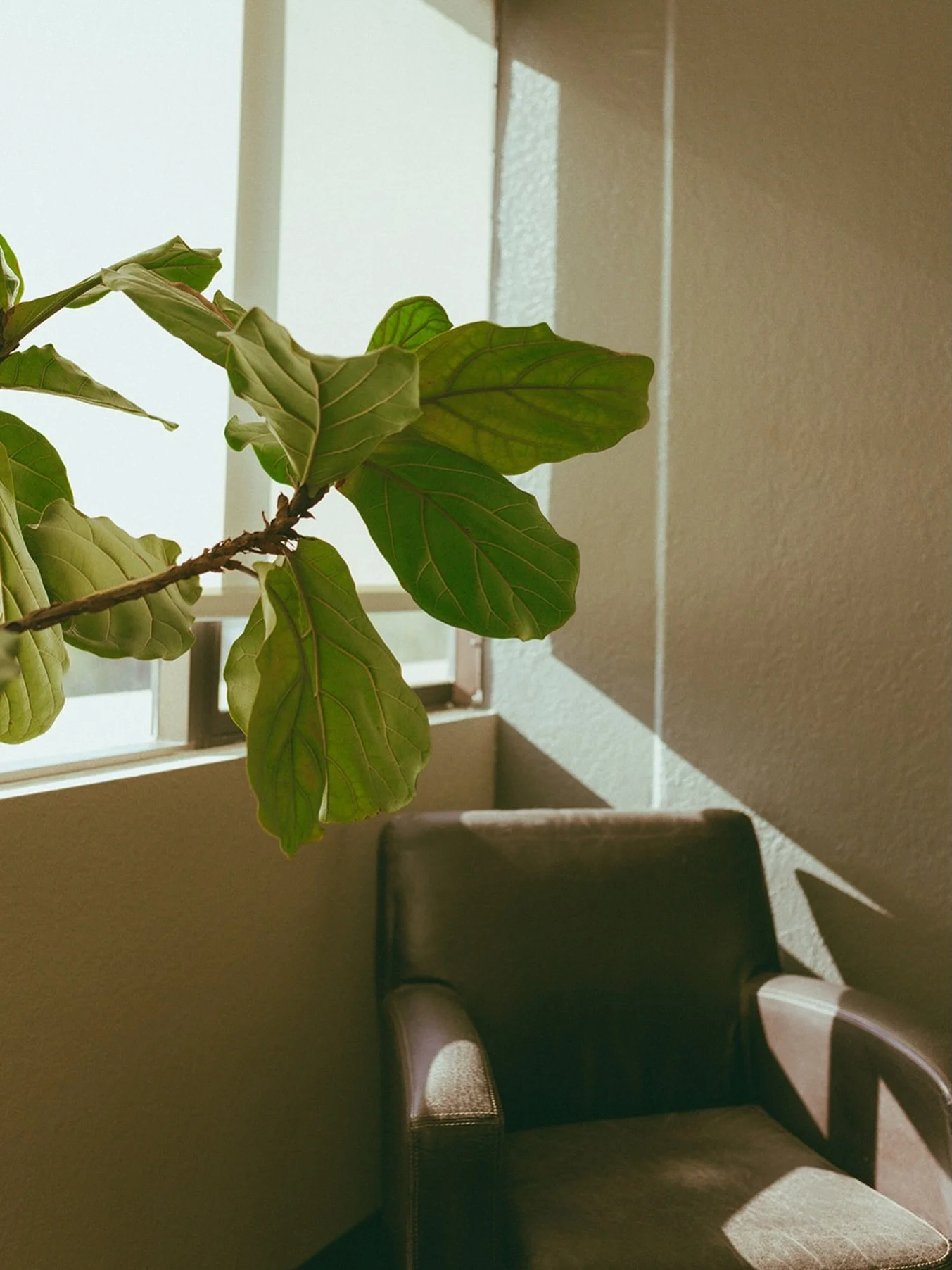 We don&rsquo;t have to earn our rest. 
We don&rsquo;t have to wait until something hurts.
Sometimes the most productive thing we can do
is give our body space to settle.

We can exhale.

If this month made you realize your body might need a little mo