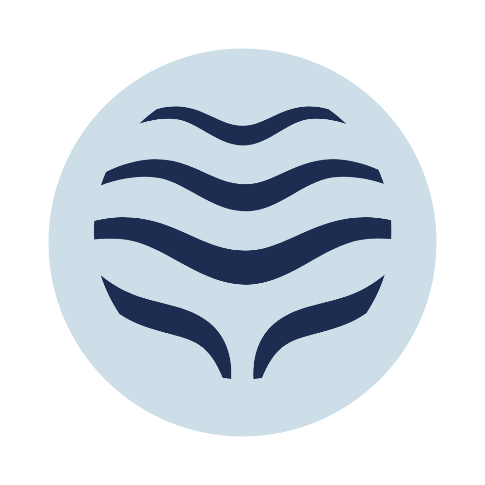 Stylized globe icon with dark blue wavy lines on a light blue circular background.