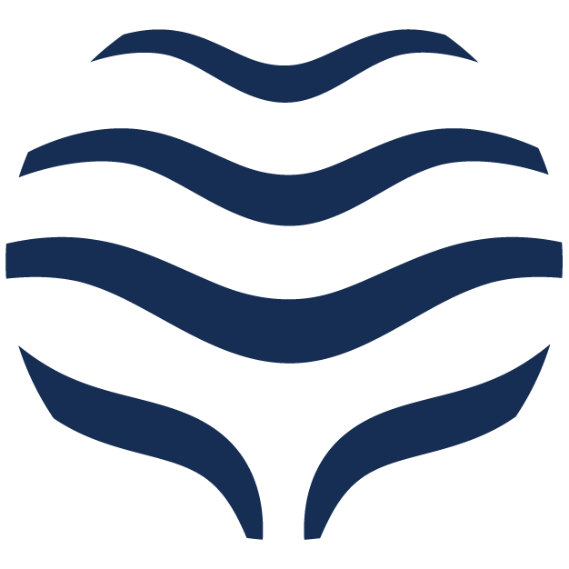 Stylized abstract design resembling a face with wavy lines and curved shapes in navy blue.