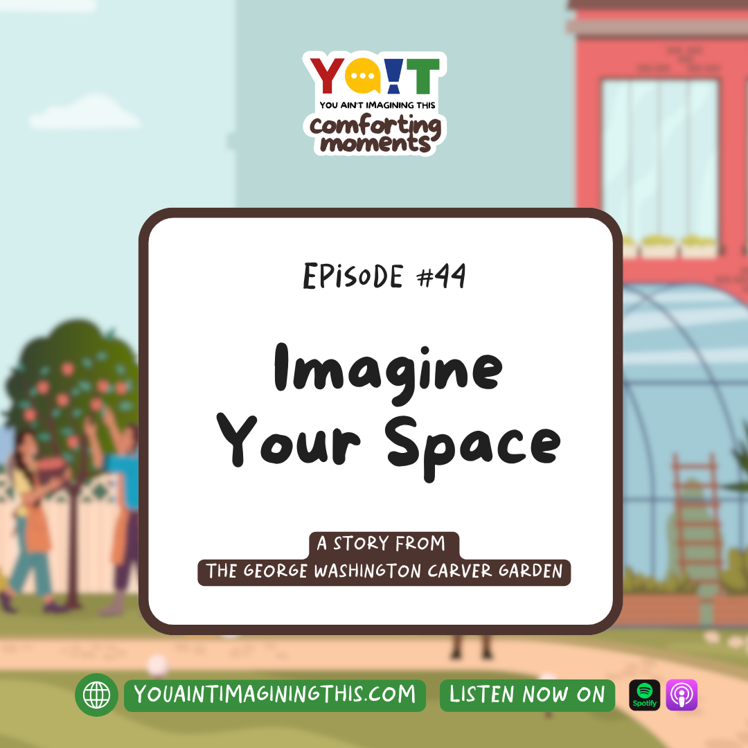 imagine your space