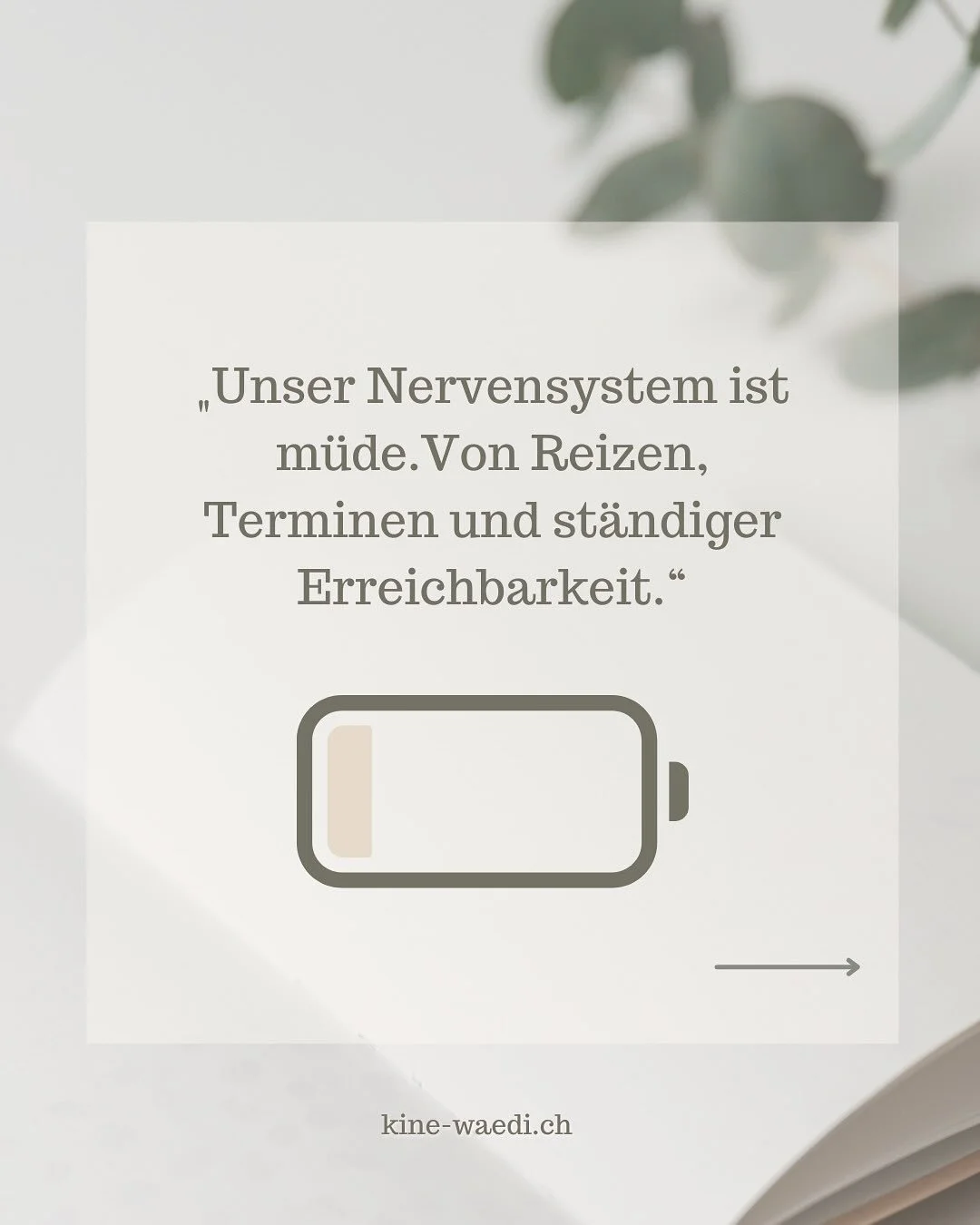 Unsere Gesellschaft ist st&auml;ndig gestresst &ndash; zu viele Reize, Termine und dauerhafte Erreichbarkeit. 🌿

Folgen k&ouml;nnen sein:

Schlafmangel 😴

innere Unruhe 💭

mangelnde Balance ⚖️

st&auml;ndige Anspannung 💛

&bdquo;Findest du dich w