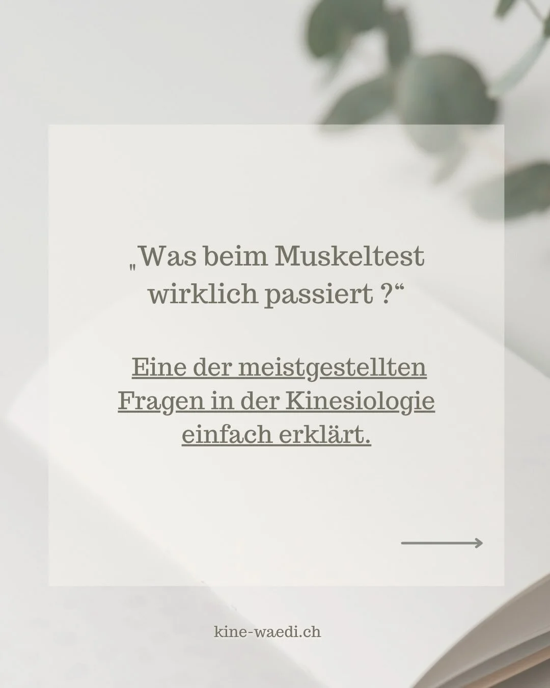 💪 Muskeltest &ndash; was im K&ouml;rper wirklich passiert?

Viele Menschen denken, der Muskeltest zeigt, wie stark oder schwach ein Muskel ist.
In Wahrheit misst er die Reaktion deines Nervensystems. Ein blitzschneller Reflex, der zeigt, was dein K&