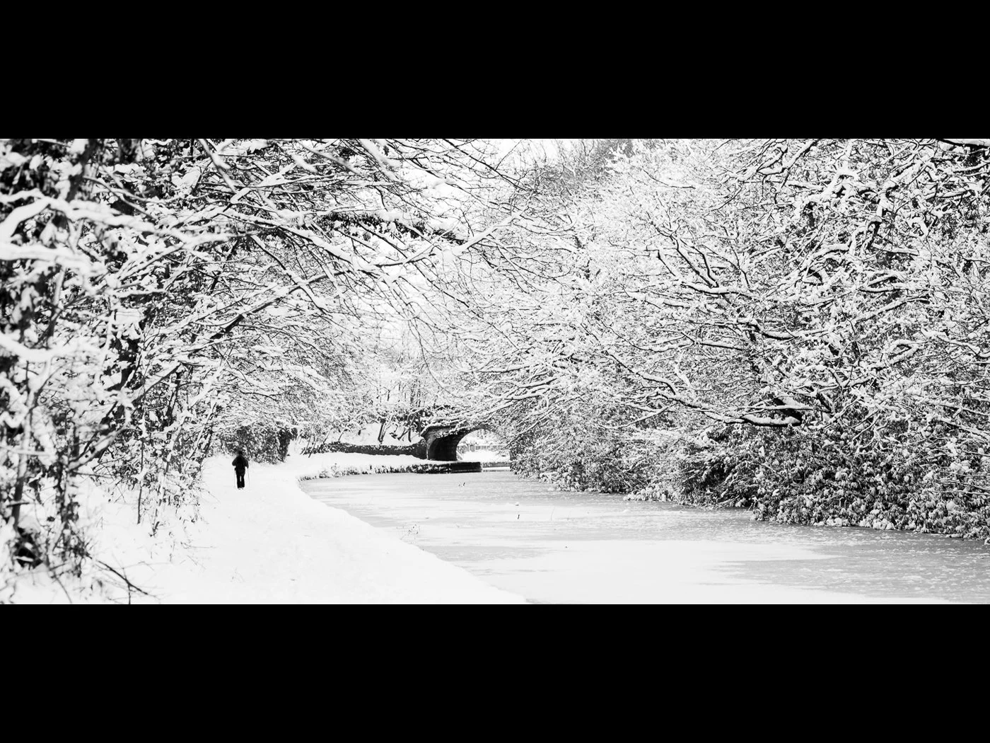 Winter Wonderland by David Hawkins