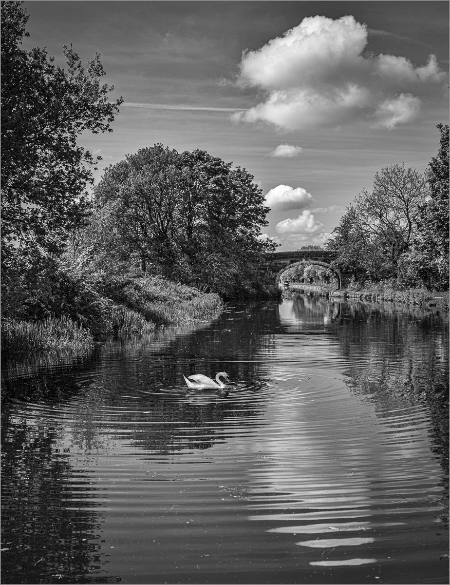 Making Ripples by David Hawkins