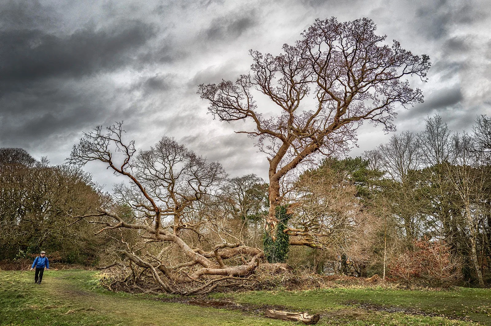 Burntwood Park Cheadle by Adrian Drummond-Hill