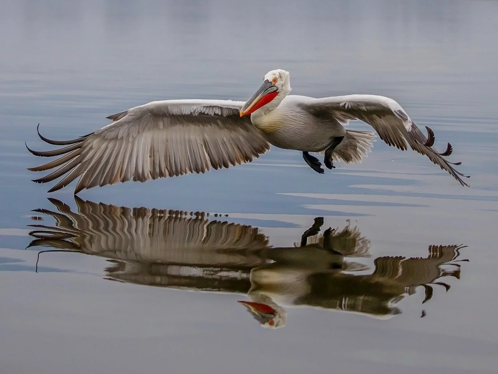 Testing The Water by John Durham
