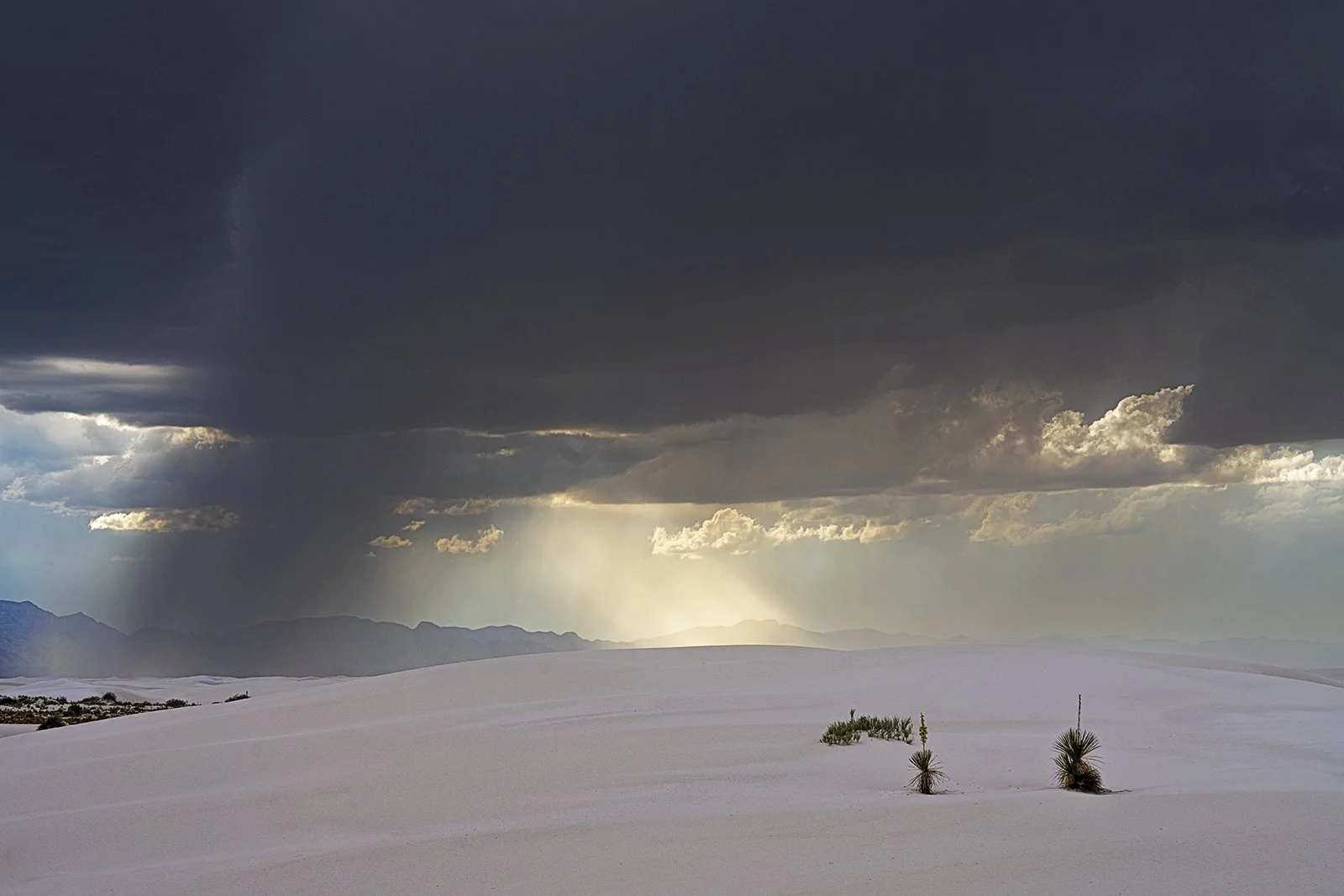 Desert Storm by Peter Thomasson