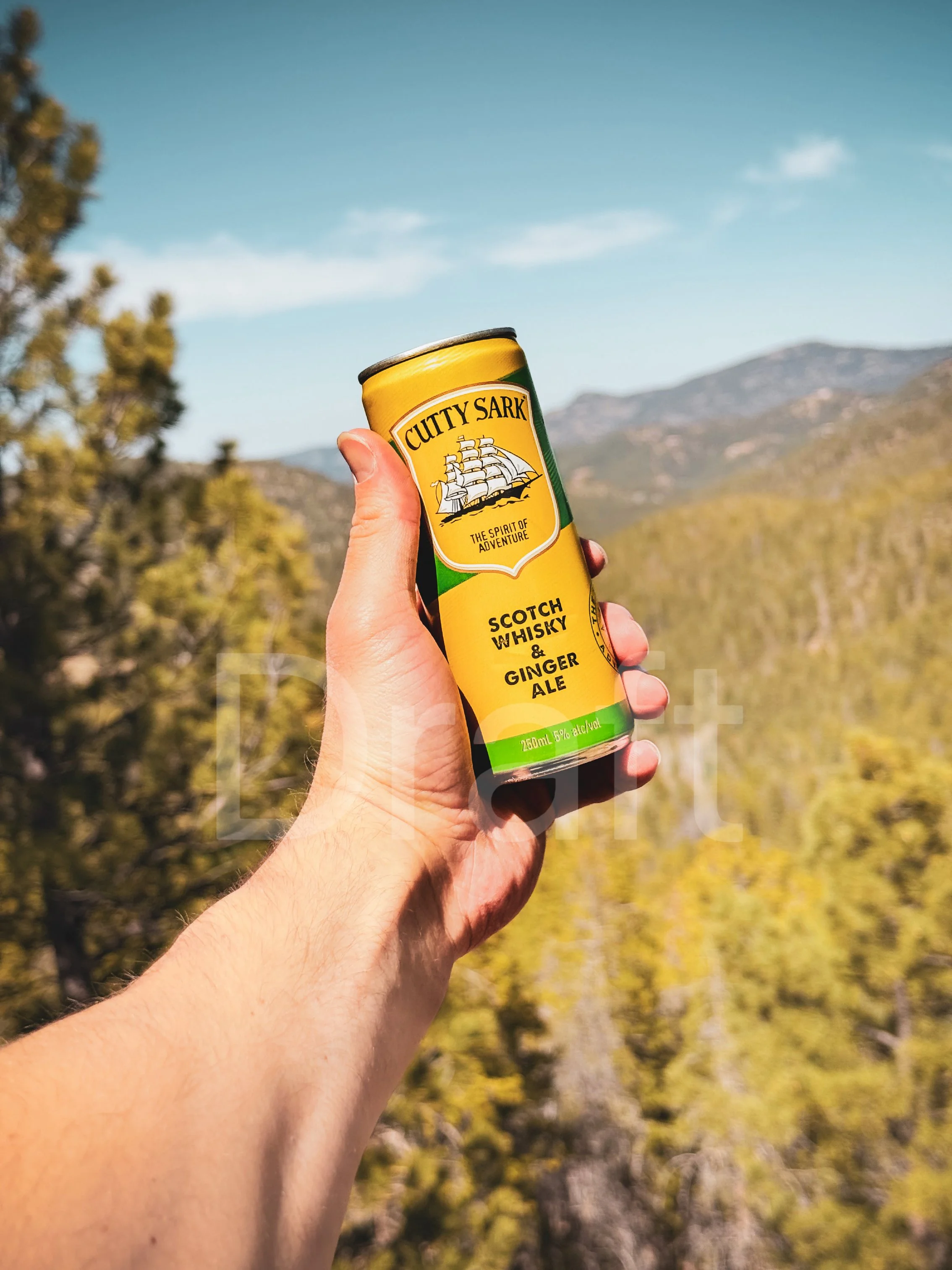 Influencer: Cutty Sark & Ginger RTD