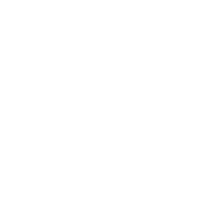 Licor 43