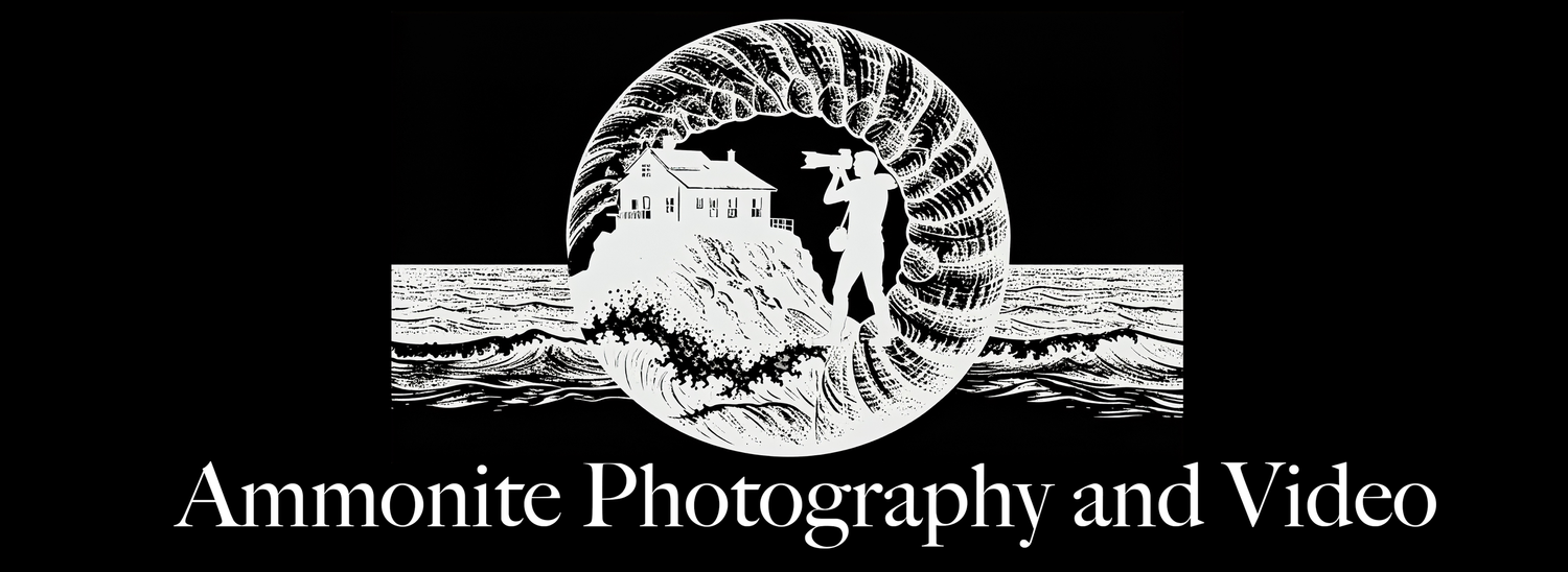 Ammonite Photography and Video