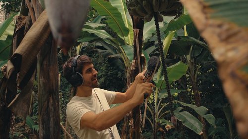 About — Color Audio