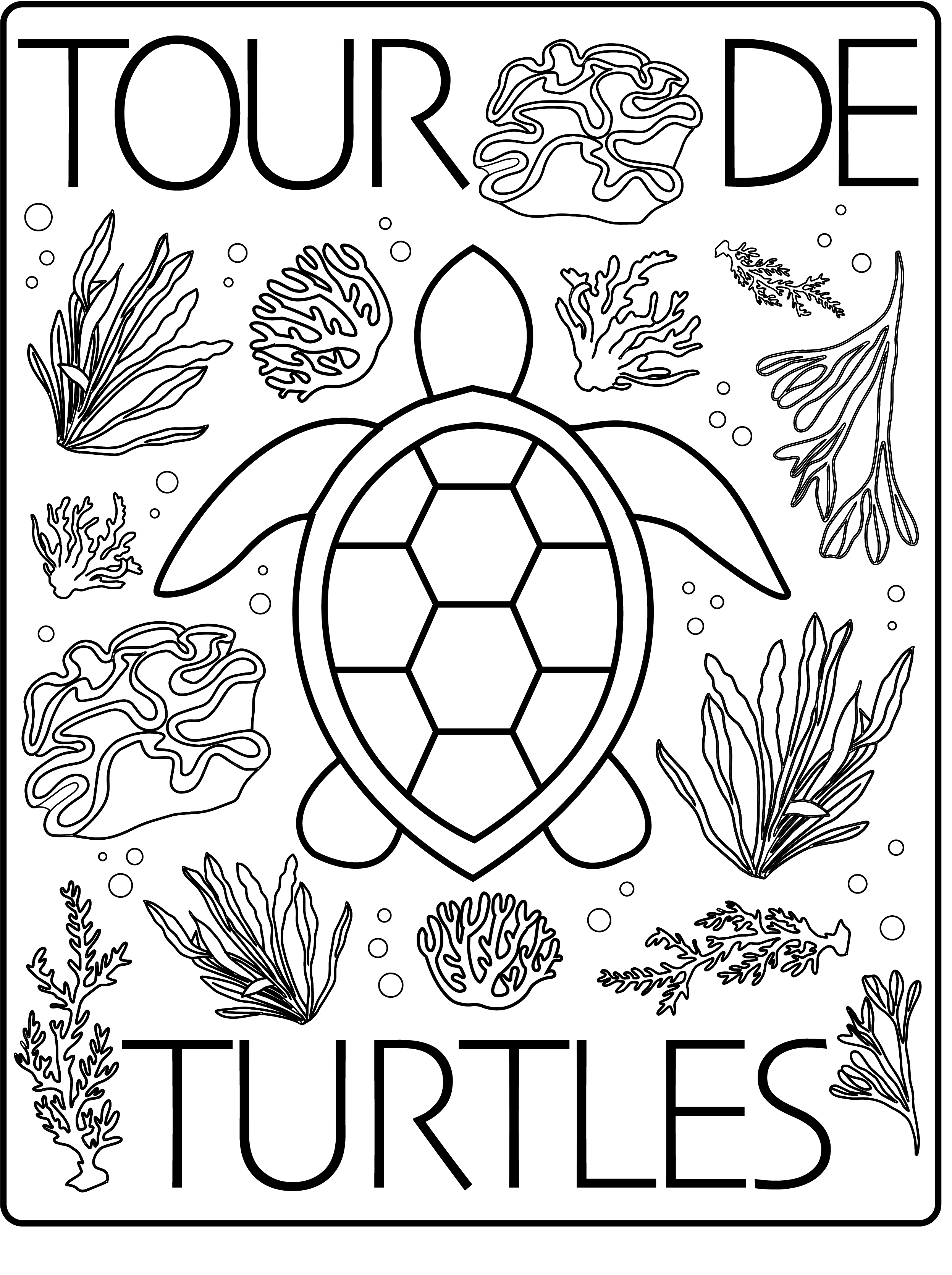 seaturtledesign2op3.png