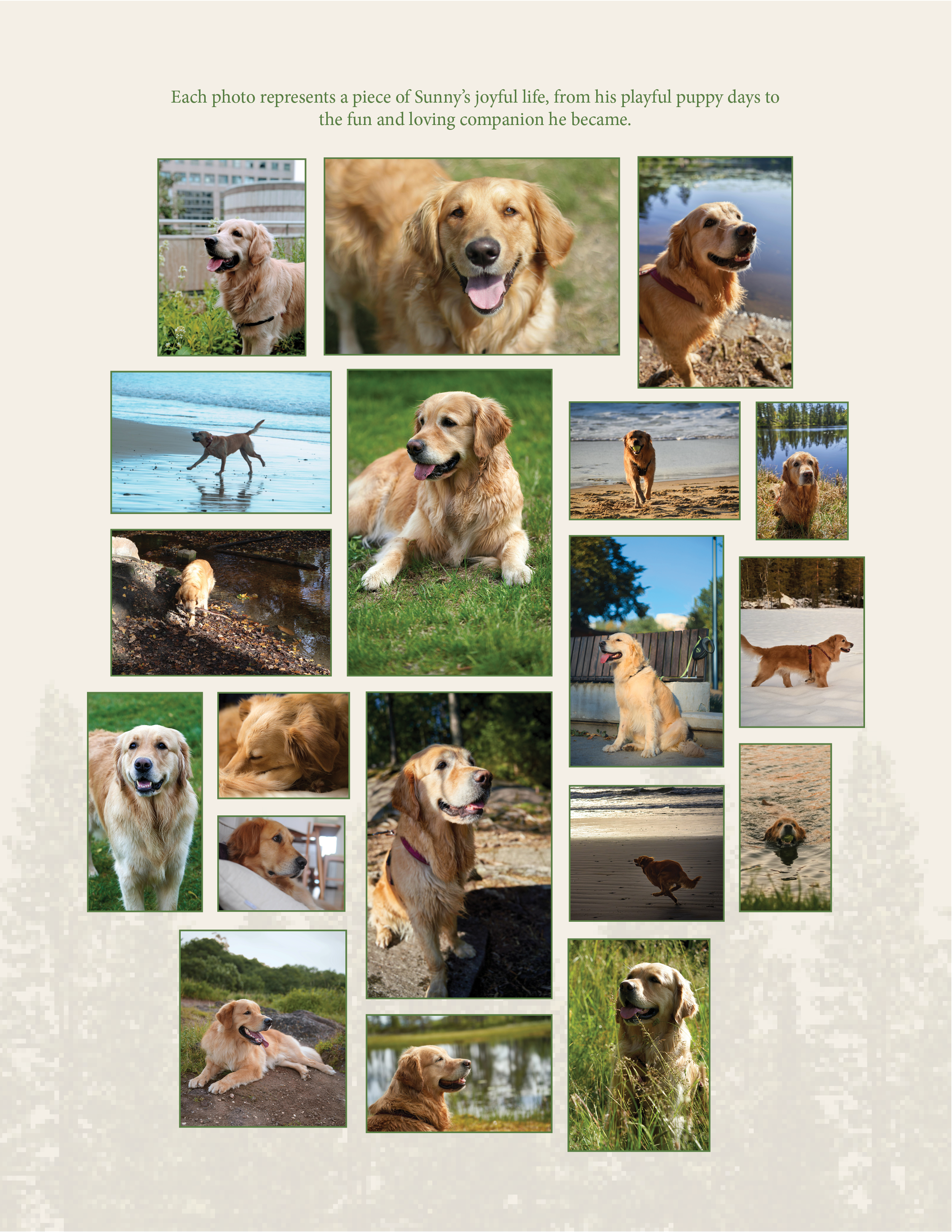 Pet Keepsake Design Sample Official7.png