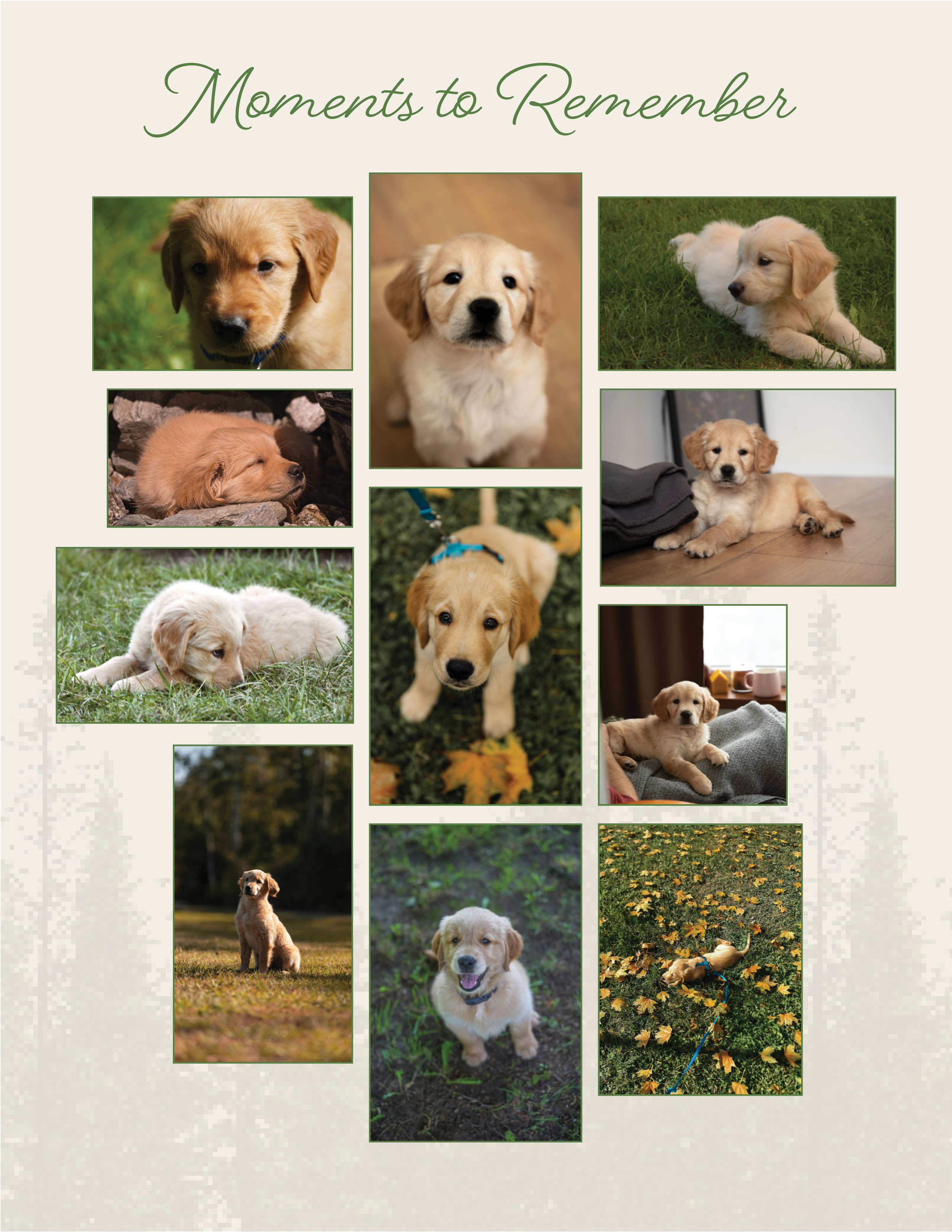 Pet Keepsake Design Sample Official6.png