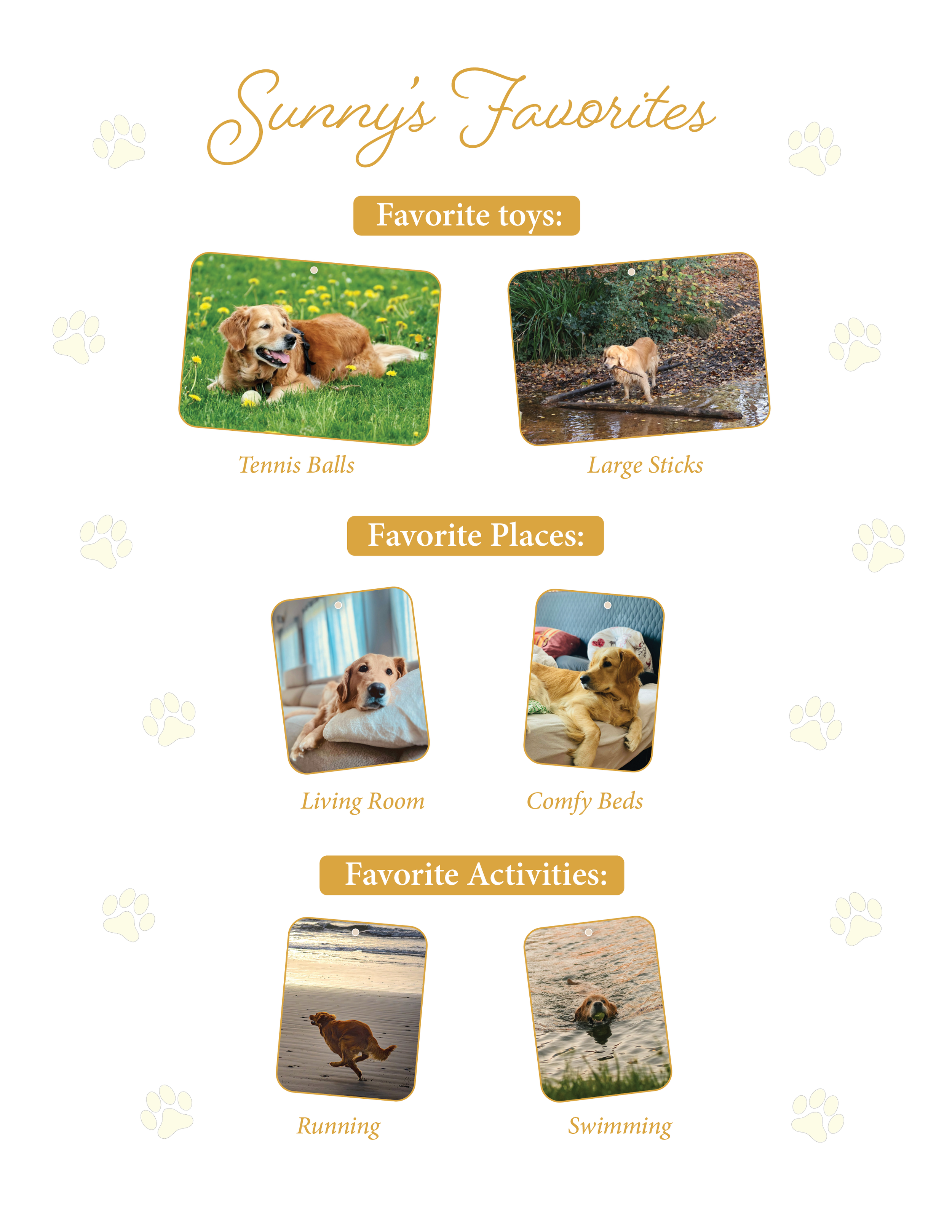 Pet Keepsake Design Sample Official5.png