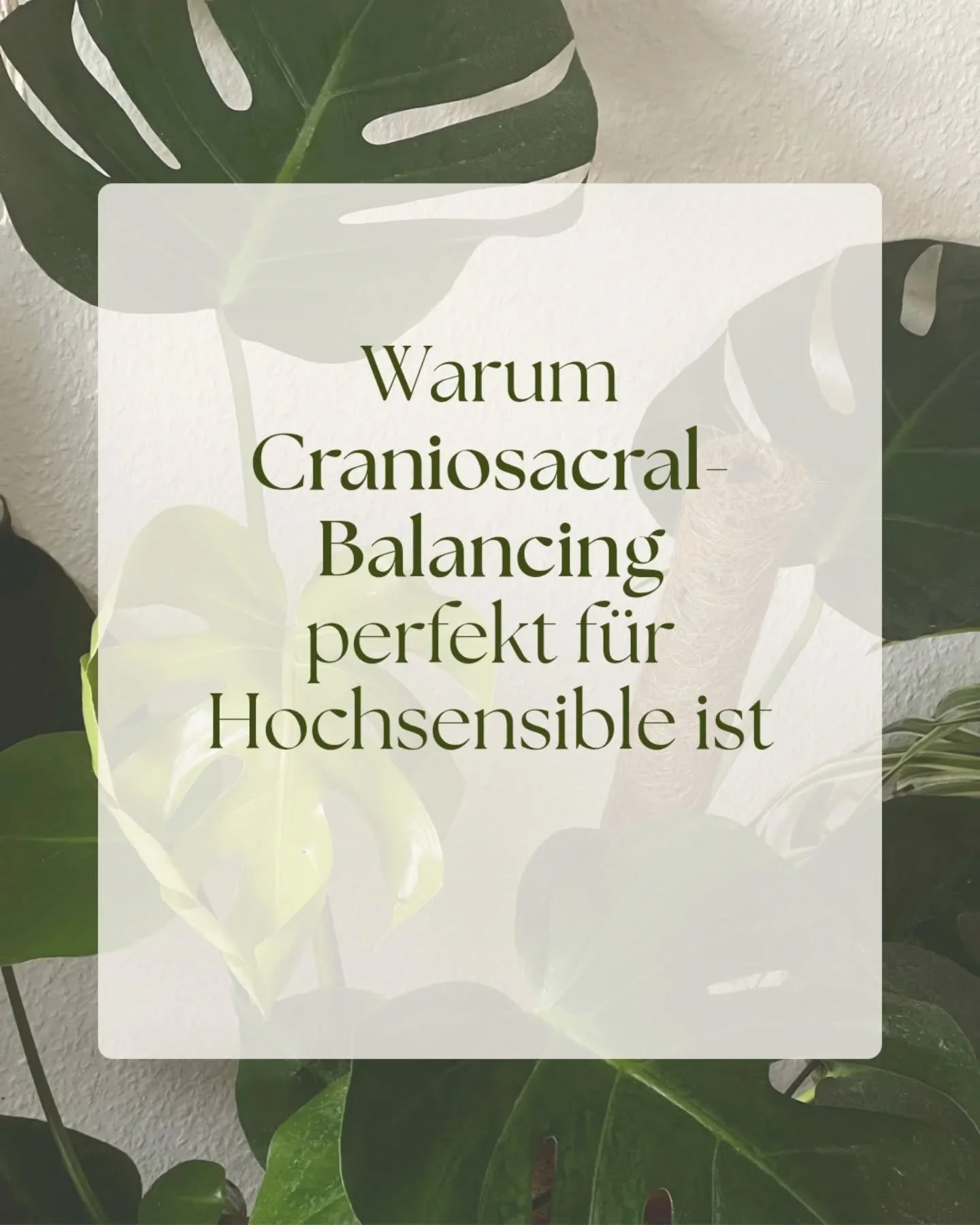 Wusstest du, dass Craniosacral-Balancing gerade für uns Hochsensible eine unglaublich wertvolle Unterstützung sein kann?
Diese Methode ist sanft und gleichzeitig unfassbar kraftvoll. Daher ist Cranio ideal, um unserem reizüberfluteten