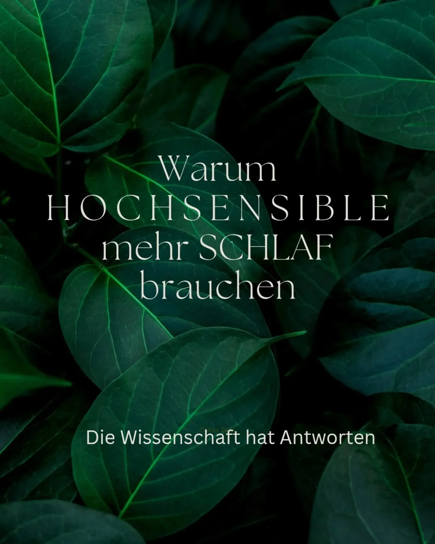 Wusstest du, dass hochsensible Menschen mehr Schlaf brauchen als neurotypische Personen?
Ich habe mein erhöhtes Schlafbedürfnis lange nicht mit meiner Hochsensibilität in Verbindung gebracht. Wenn man aber einmal darüber nachdenk