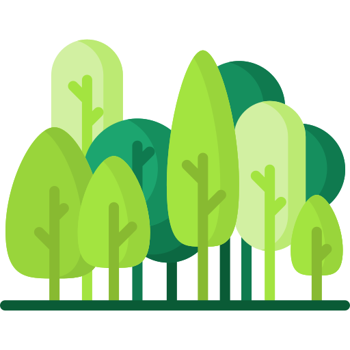 forest.png
