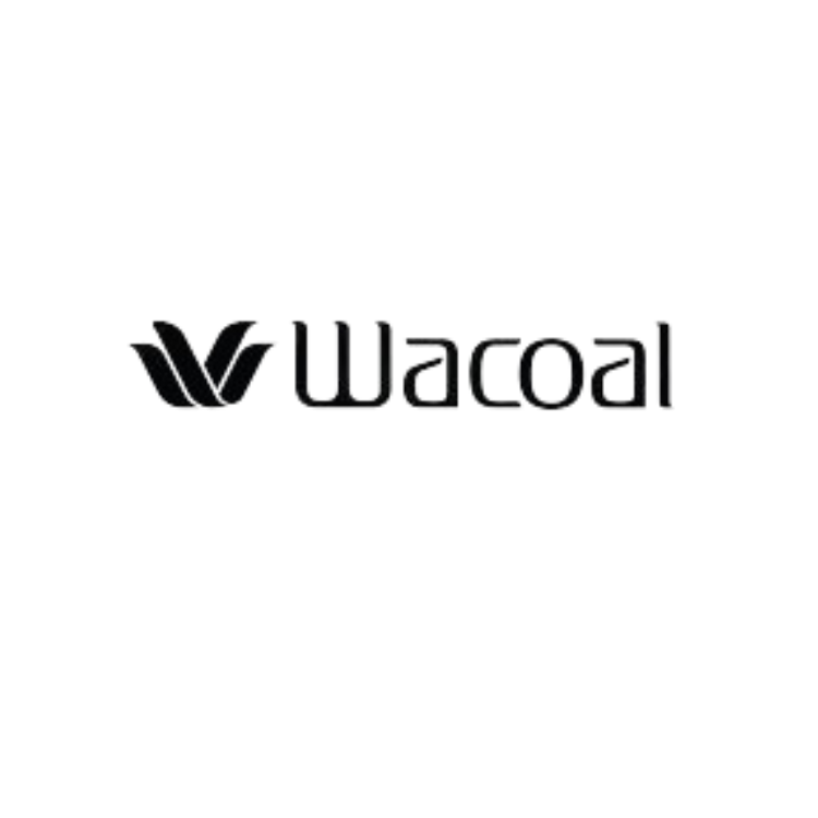 The word 'Wacom' written in stylized black and white font on a plain background.