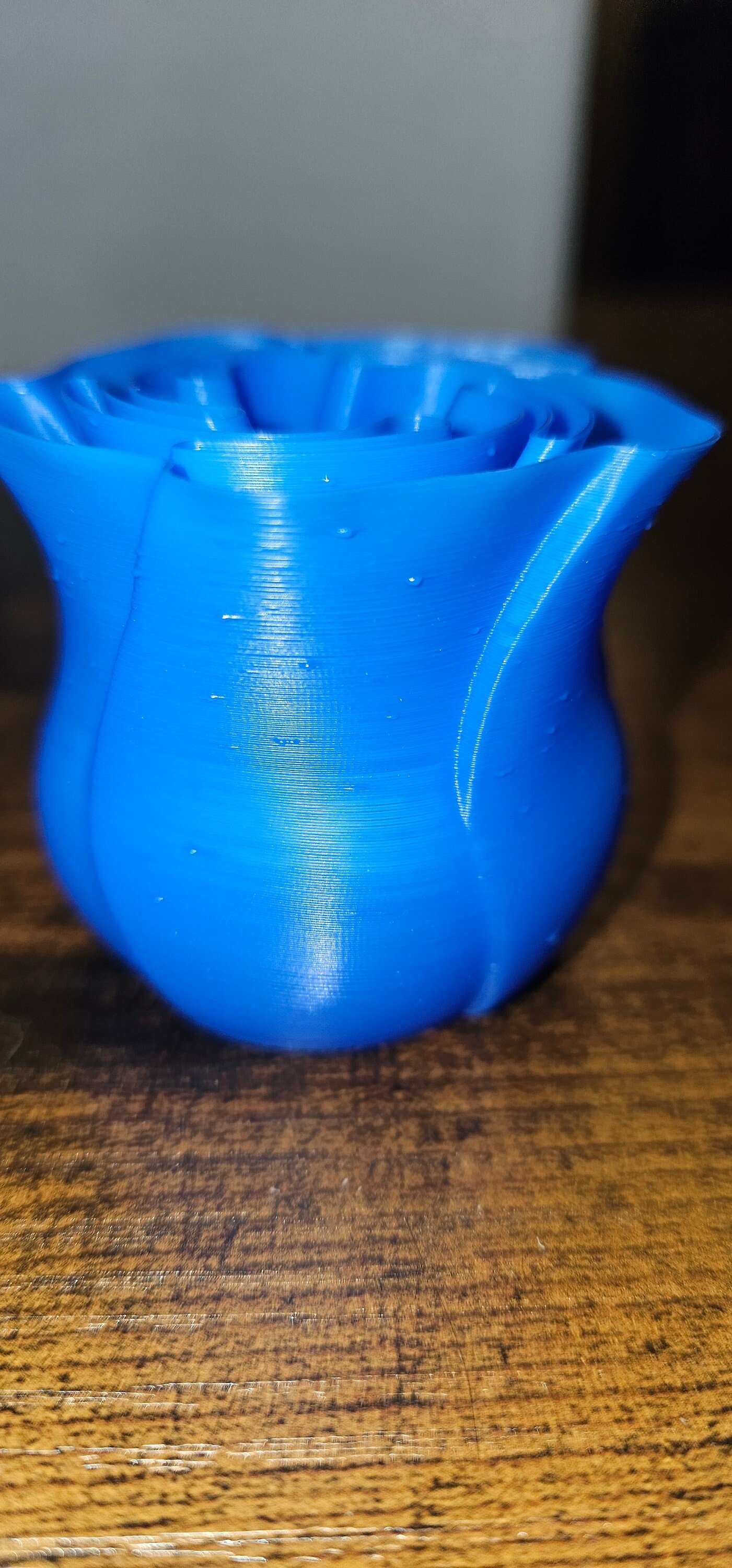 https://i.etsystatic.com/34615646/r/il/d311bd/4893111503/il_fullxfull.4893111503_6g8g.jpg