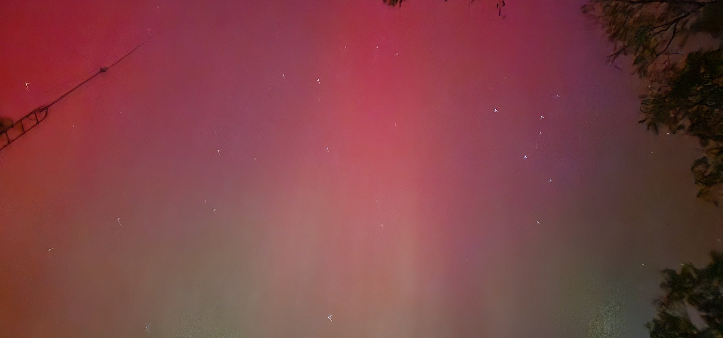 20241010_221351.jpg
