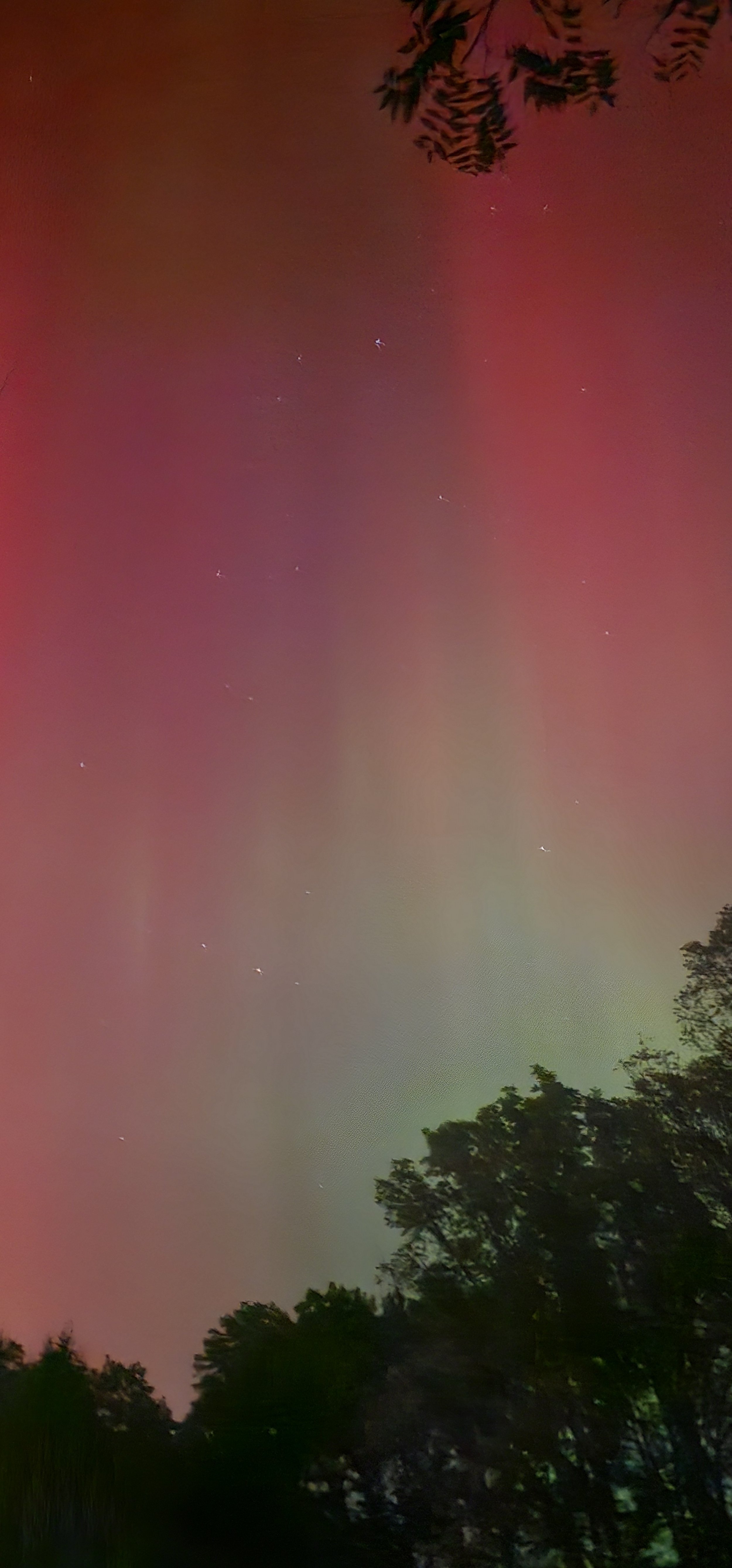 20241010_221302.jpg