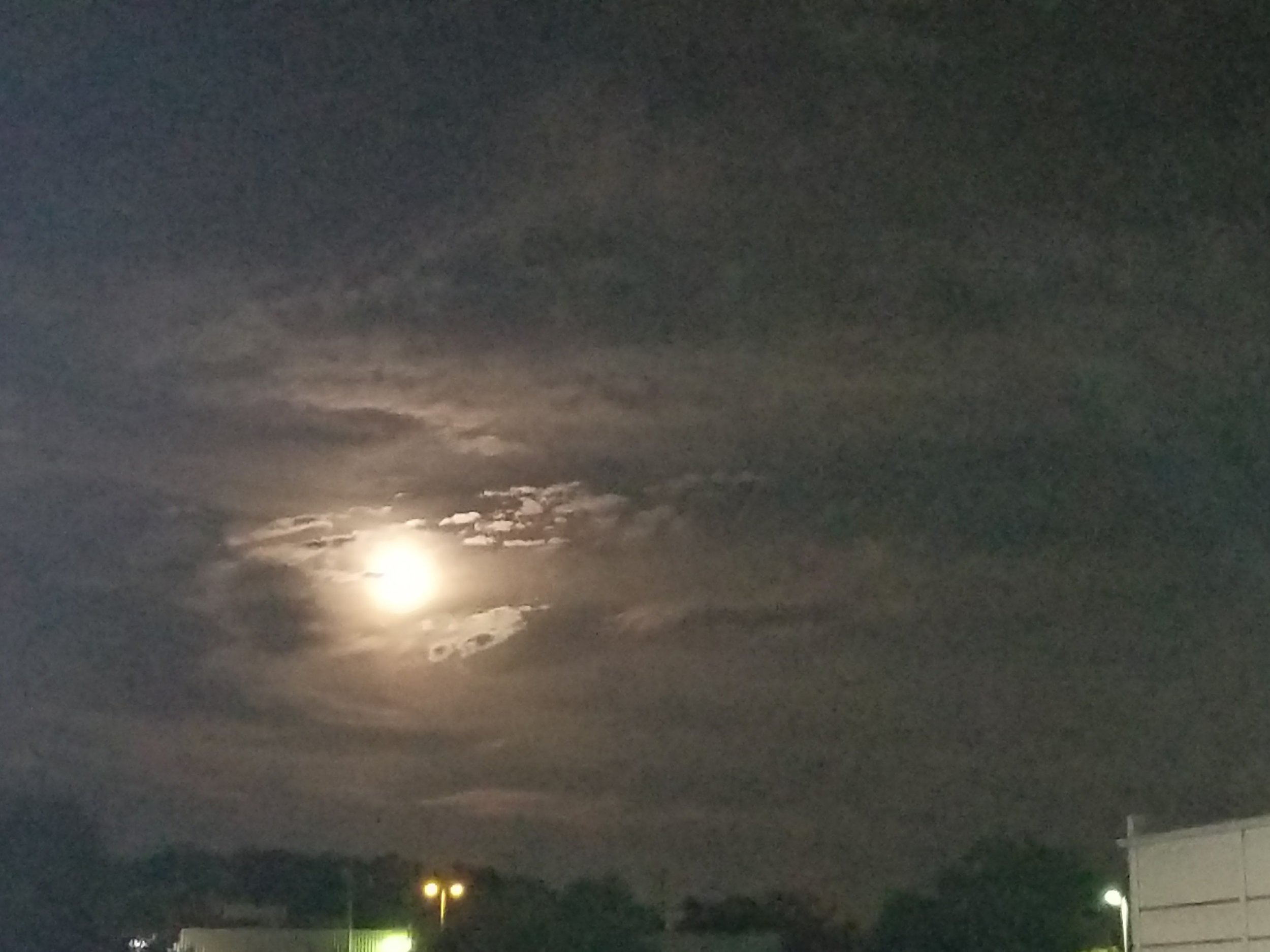 20171005_203142.jpg