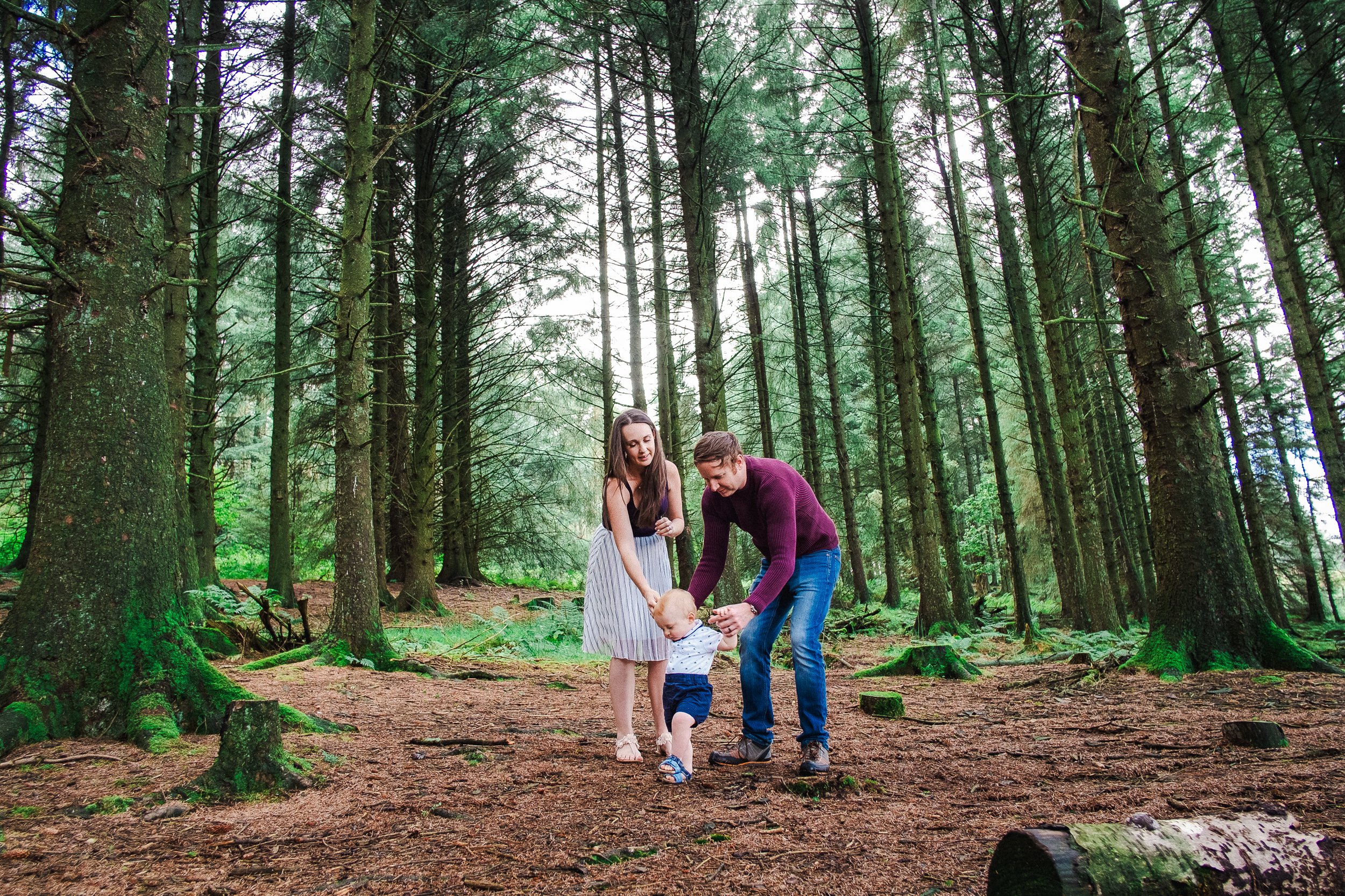 A family with a toddler walking in a dense forest with tall trees.