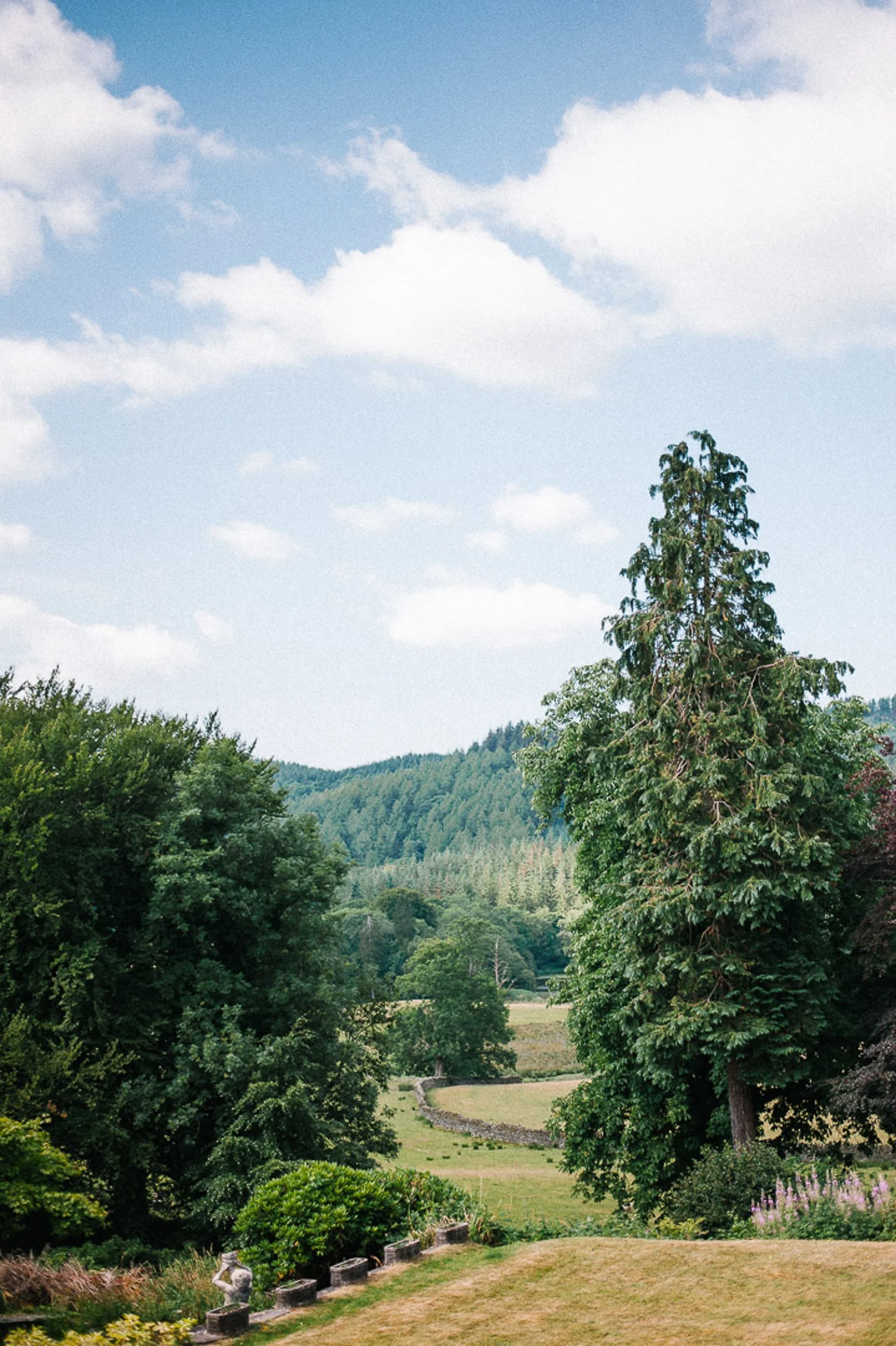 Scenic landscape with lush green trees, rolling hills, and a stone wall under a partly cloudy sky.