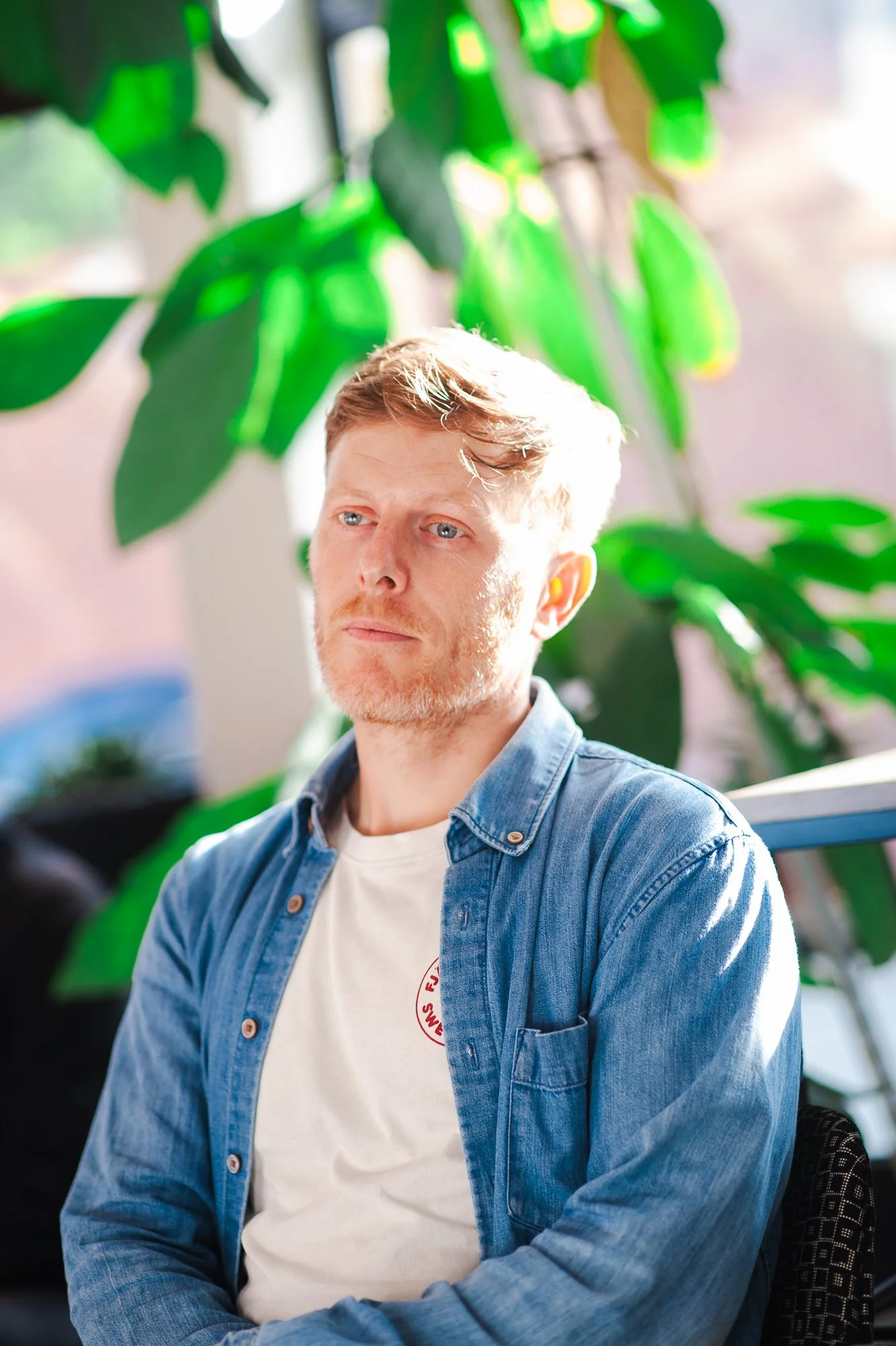 A man with blonde hair and a beard in a denim shirt sitting near a large plant with green leaves, with sunlight illuminating his face.