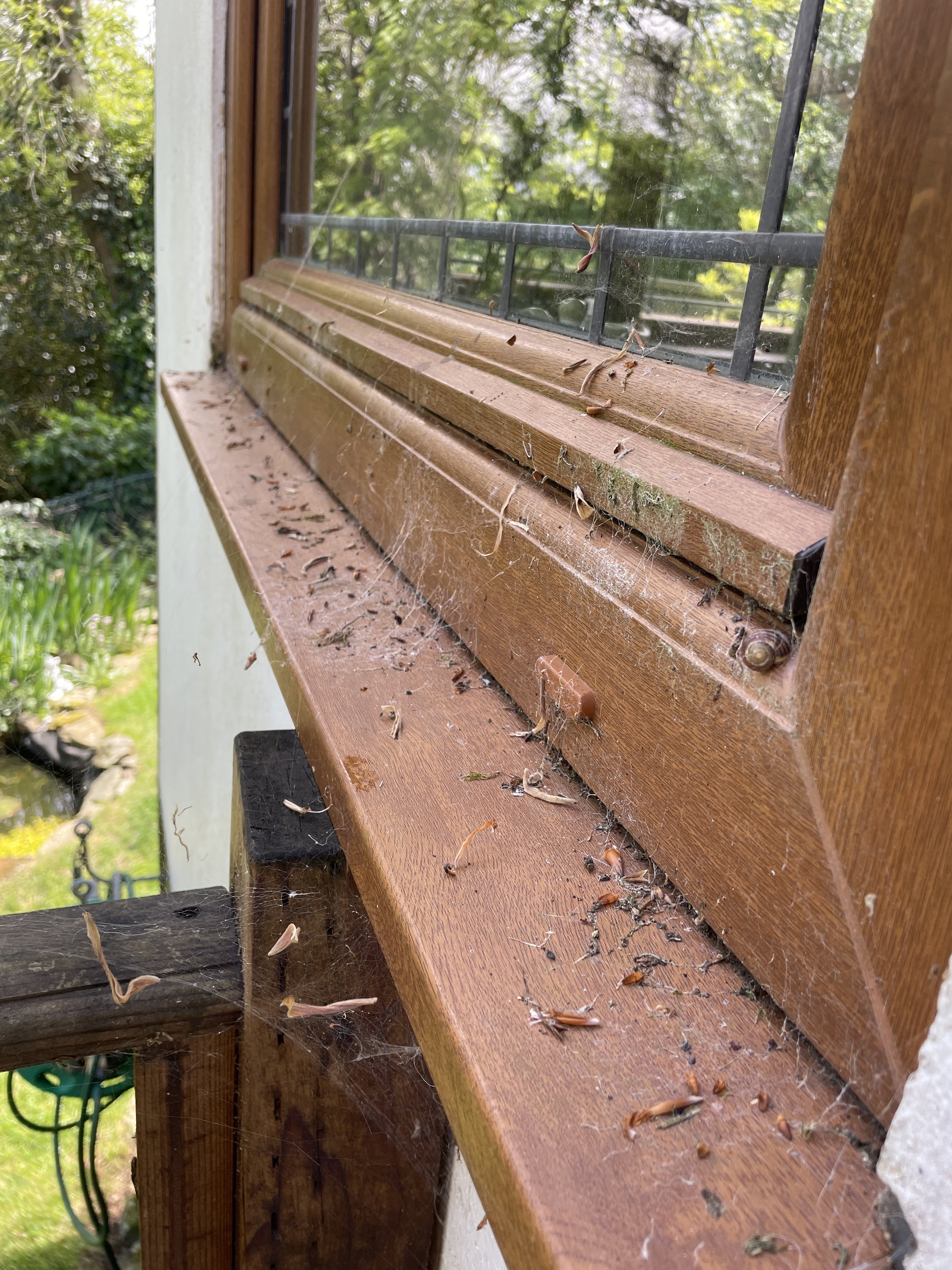Dirty windows on a Newquay home before professional cleaning by Drift Window Cleaning