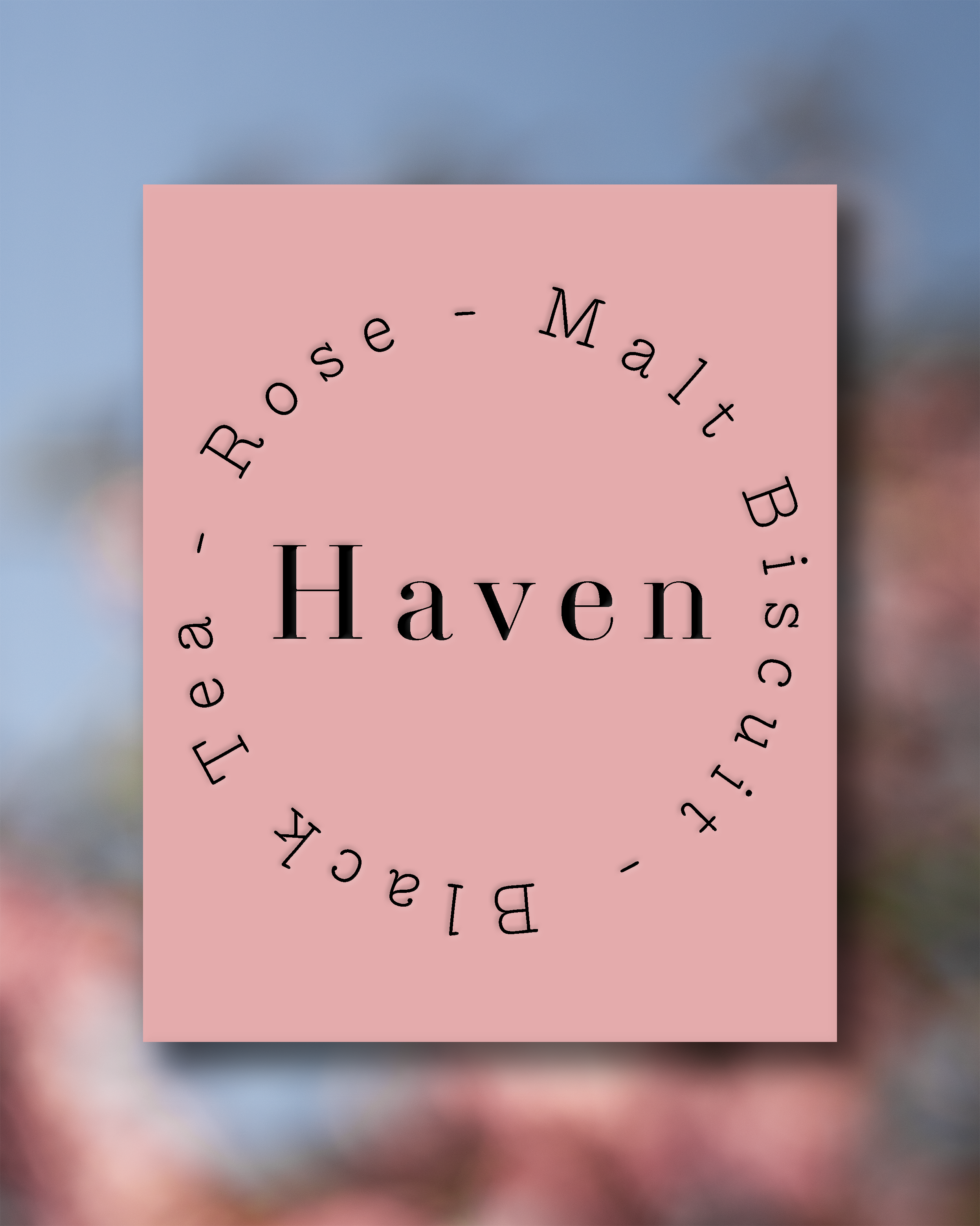 Haven Web Thumb.png