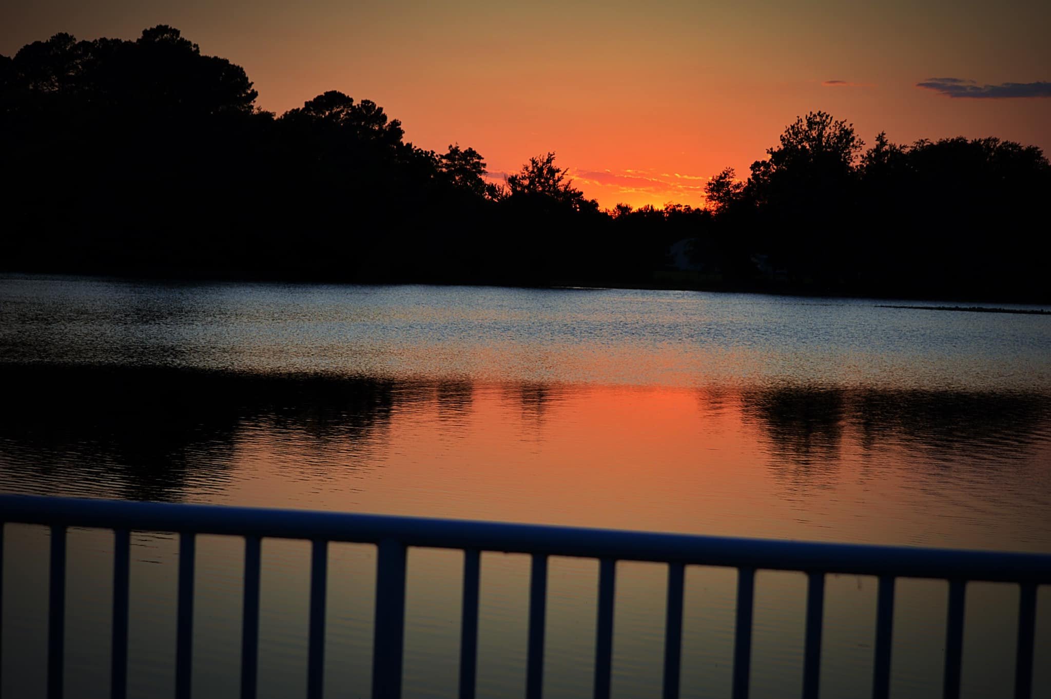 pond.jpg