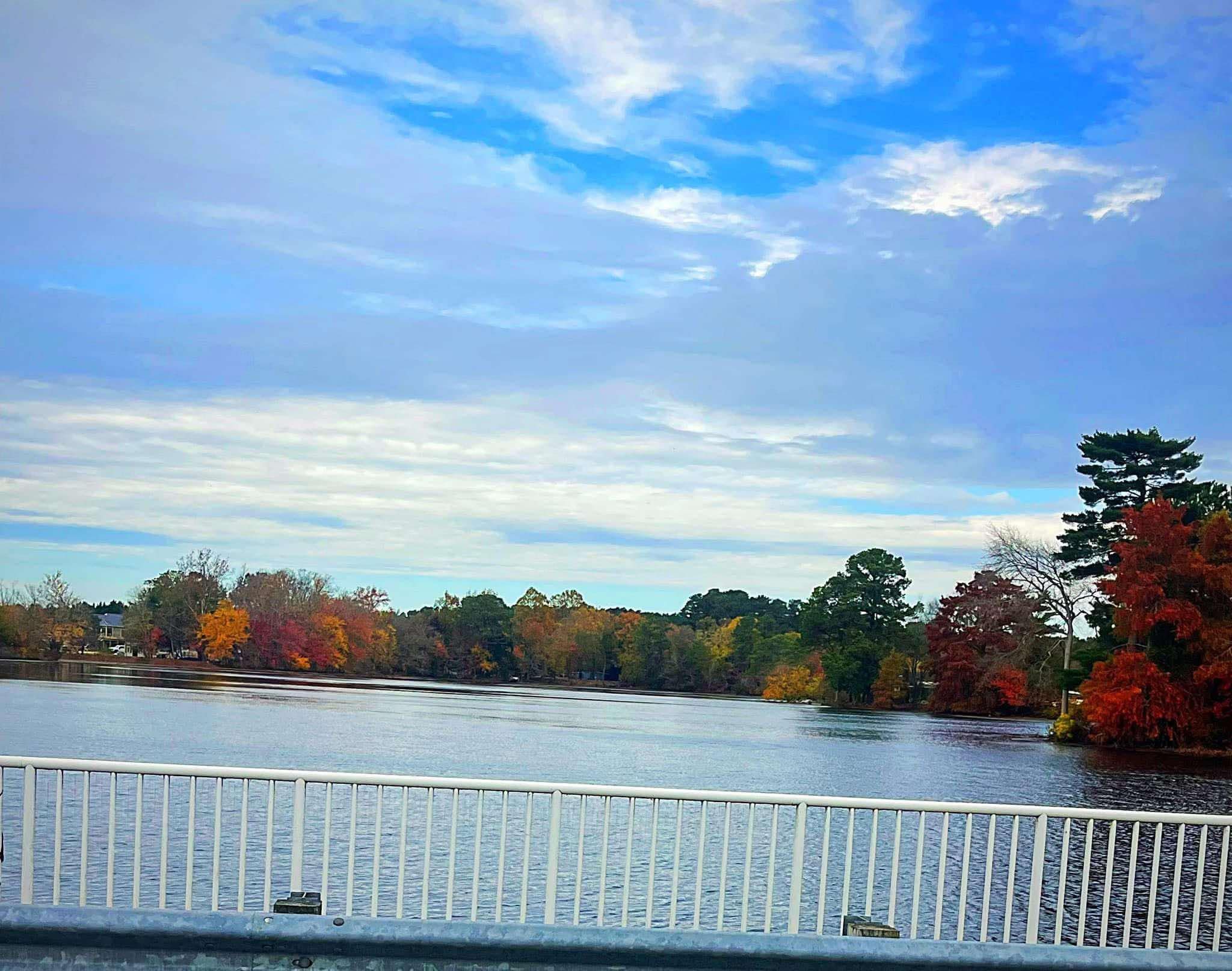 pond daytime.jpg