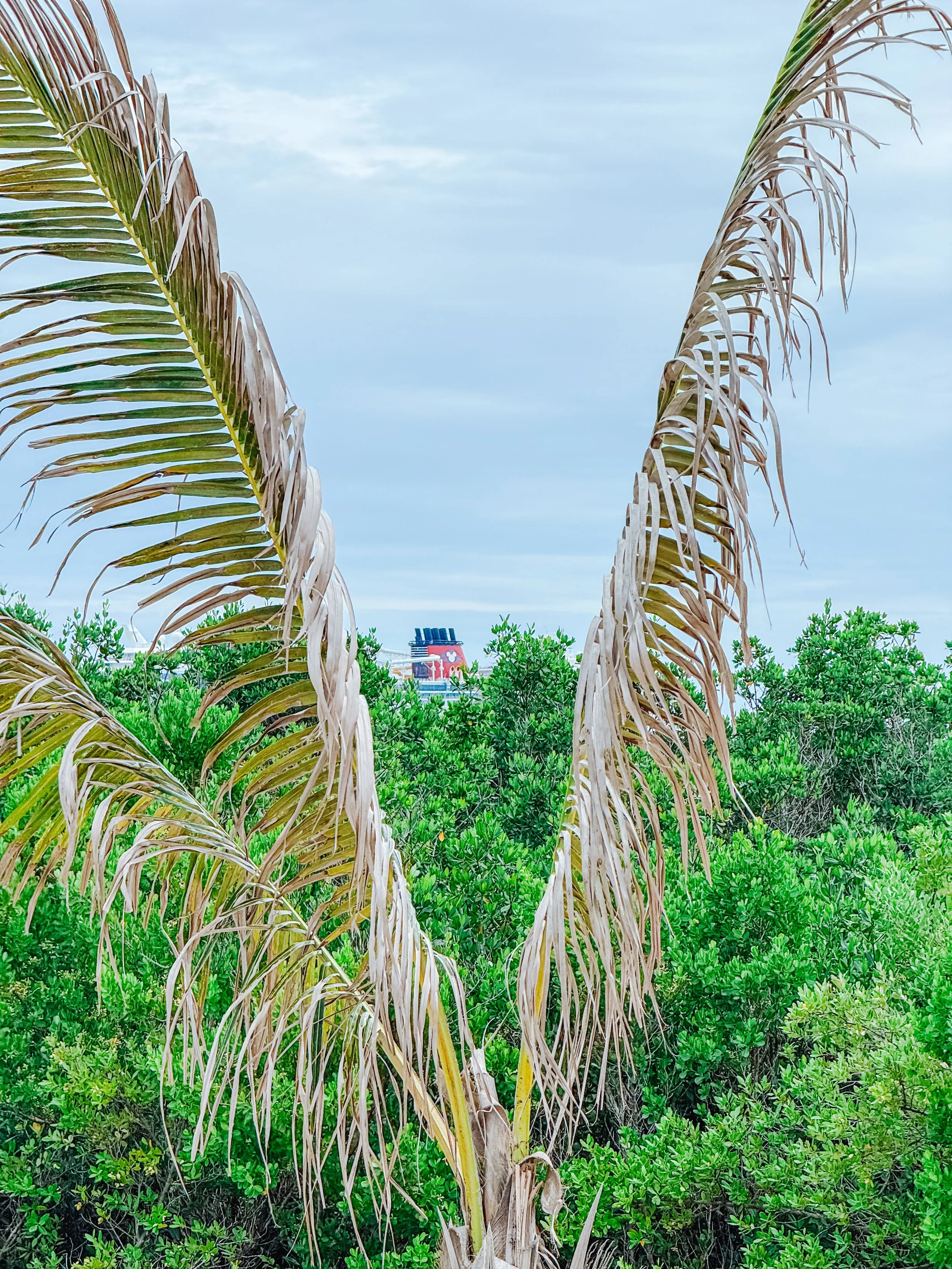View of the Ship from Mickey and Minnie Cove Cabanas Area