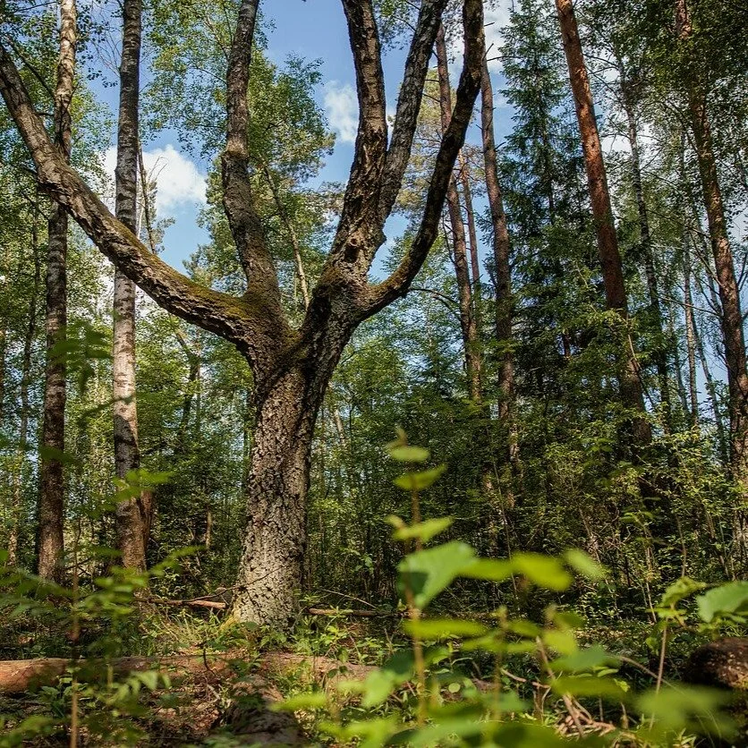 Spring #tourlithuania