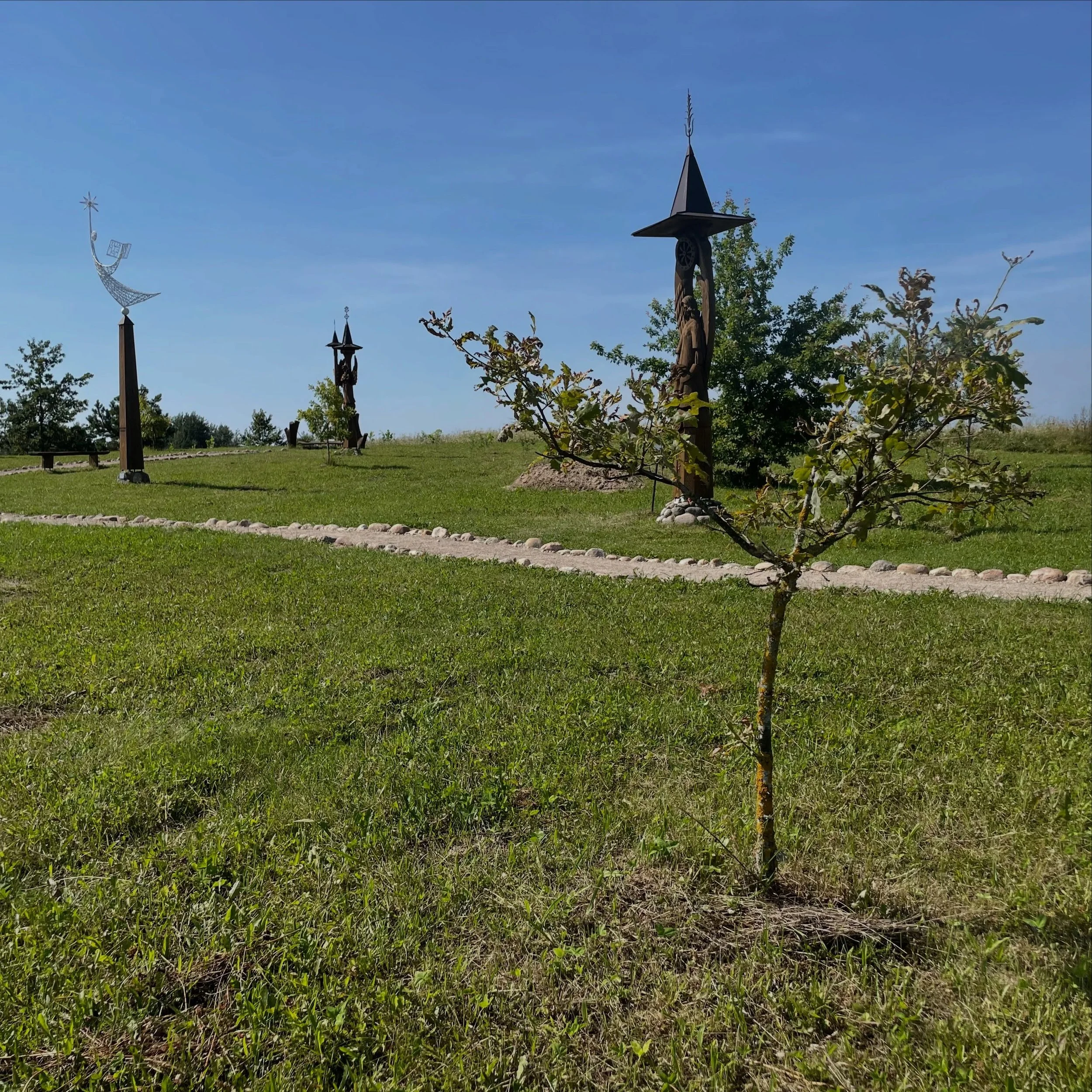 Tree planting day yesterday at hill of angels #trakai #tourlithy