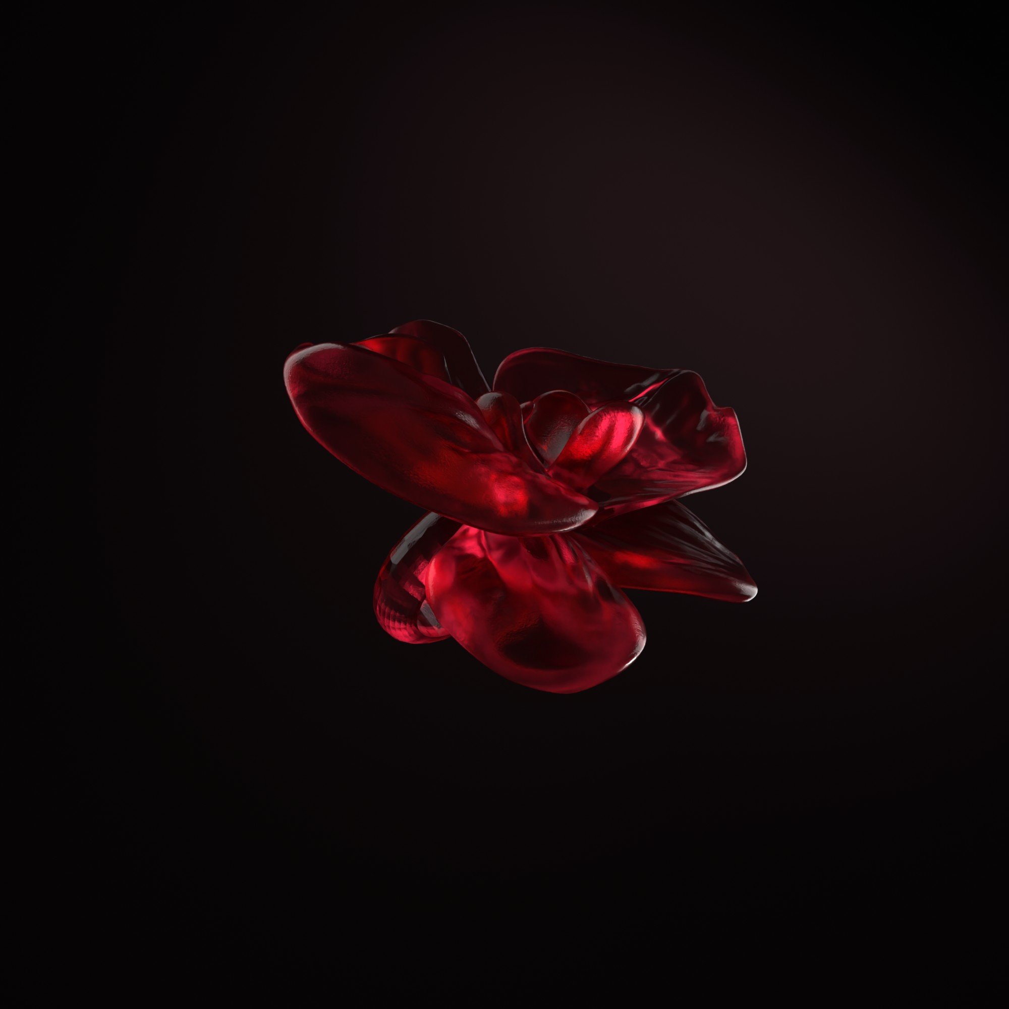 ring_orchidea.jpg