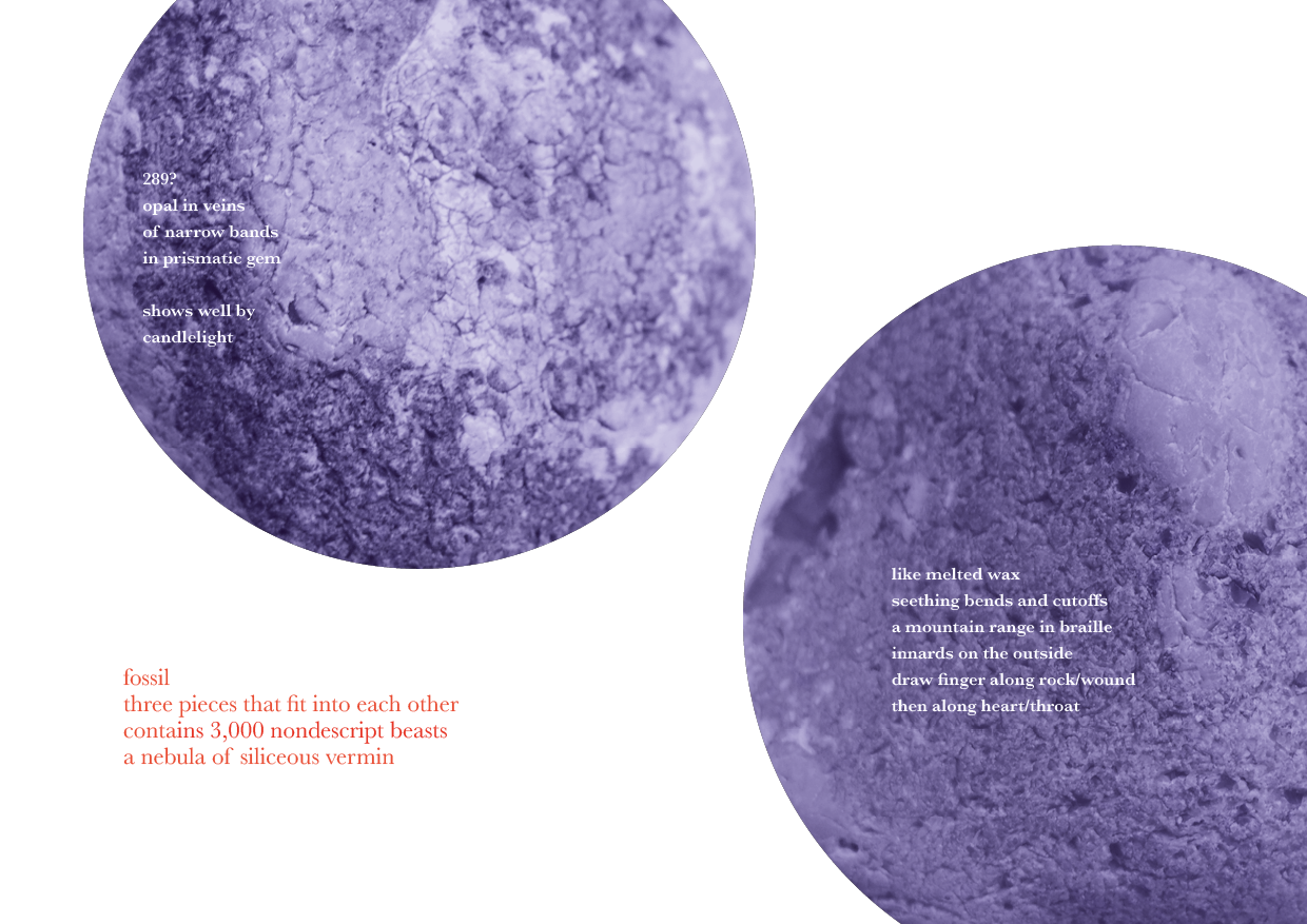 Close-up view of purple mineral or rock with detailed surface textures, accompanied by descriptive text about fossils and mineral characteristics.