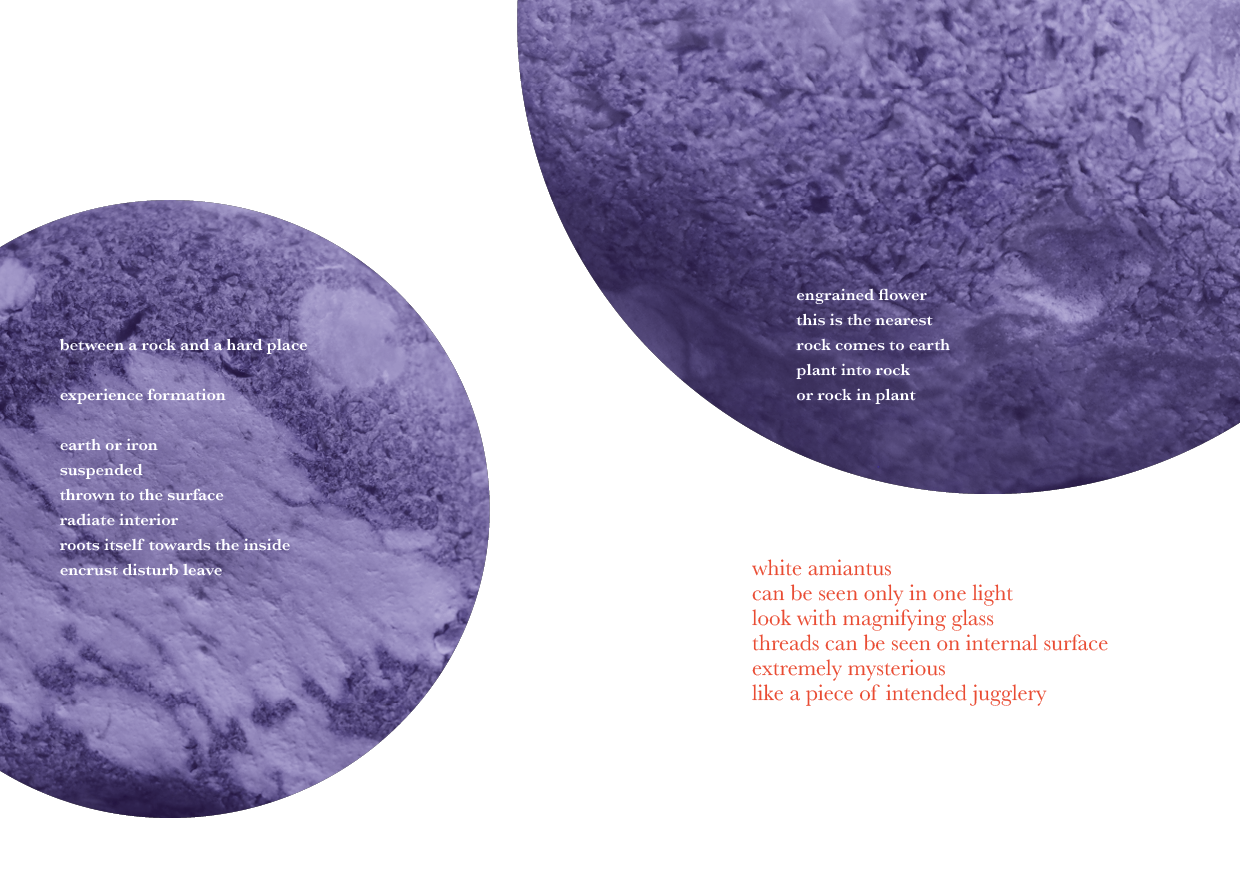 Close-up images of textured purple rocks with overlaid poetic text about rocks, plants, and minerals, including descriptions of their formations and characteristics.