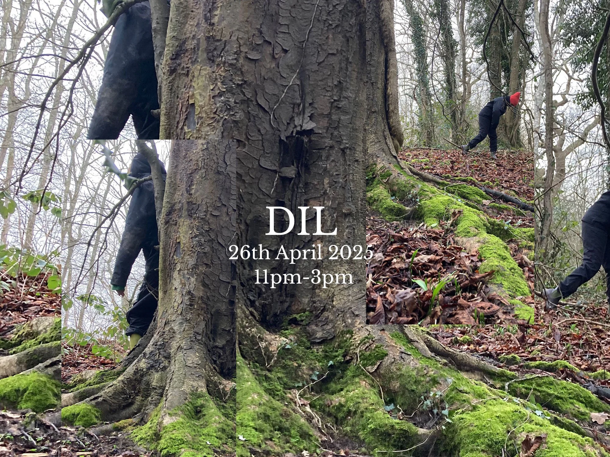 A collage of photographs in a forest with moss-covered roots and a person wearing a red hat, black jacket, and pants, walking on a wooded hillside. Text overlay reads "DIL 26th April 2025 11pm-3pm."