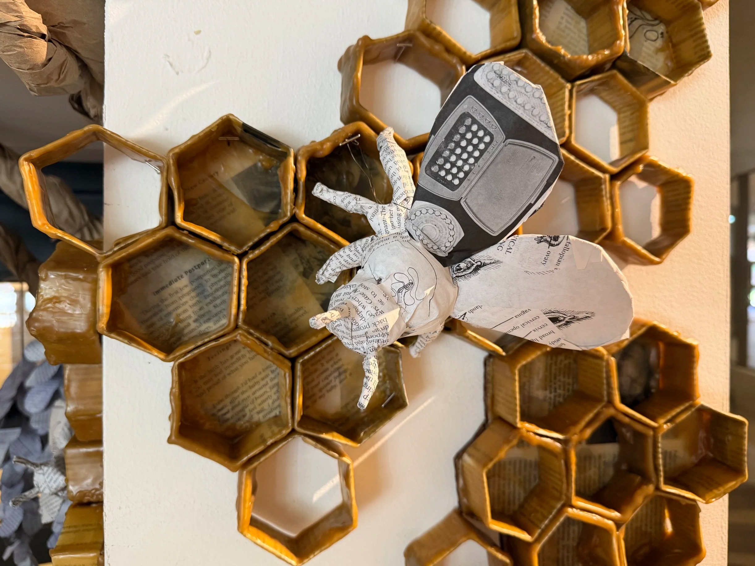 Our Bodies, Ourselves 
2025 
115"x 110"x 30"
paper, natural dye from hibiscus and pea flower, wax, yarn